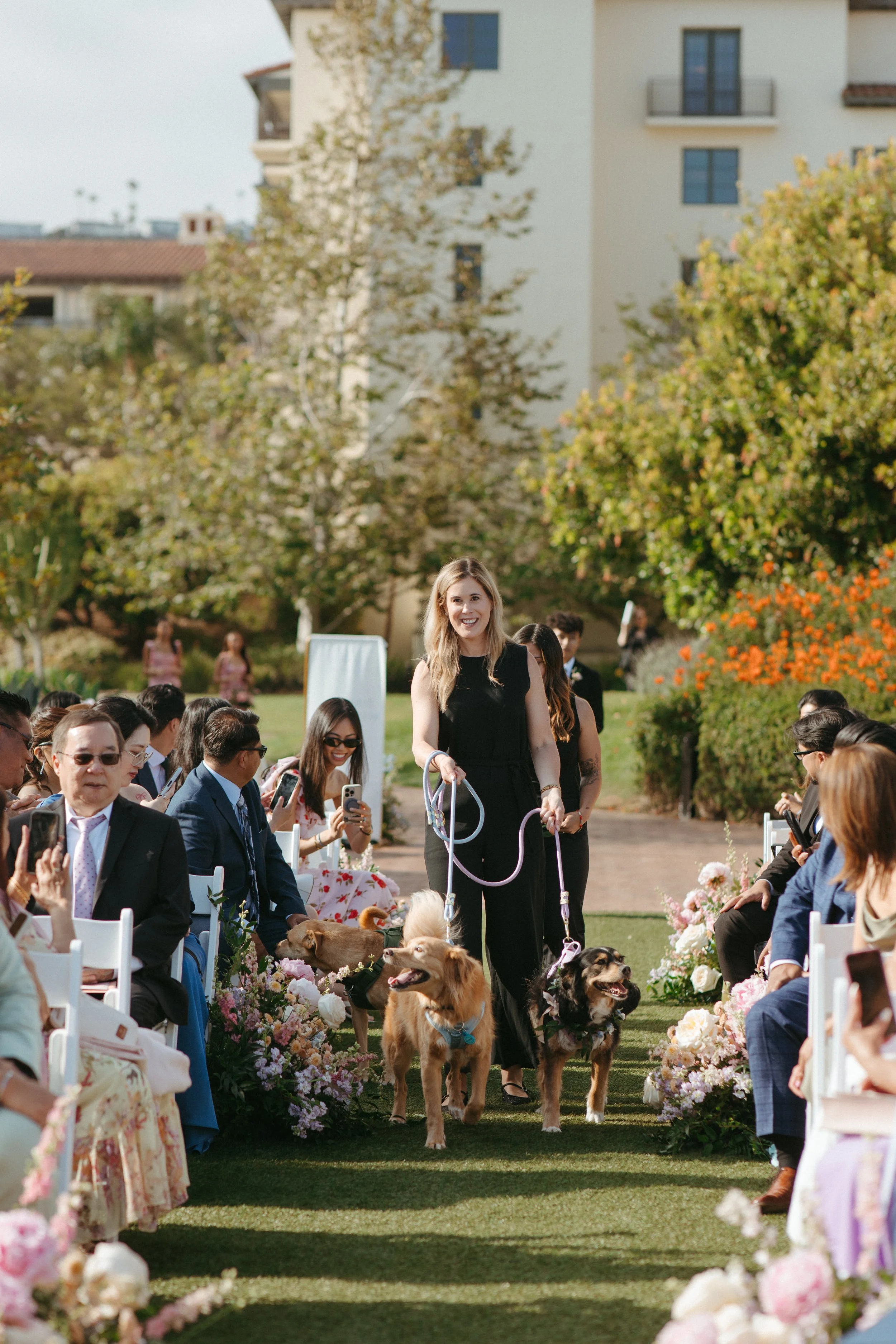 wedding pet attendants walk dogs down the aisle at an oceanfront wedding at Terranea Resort