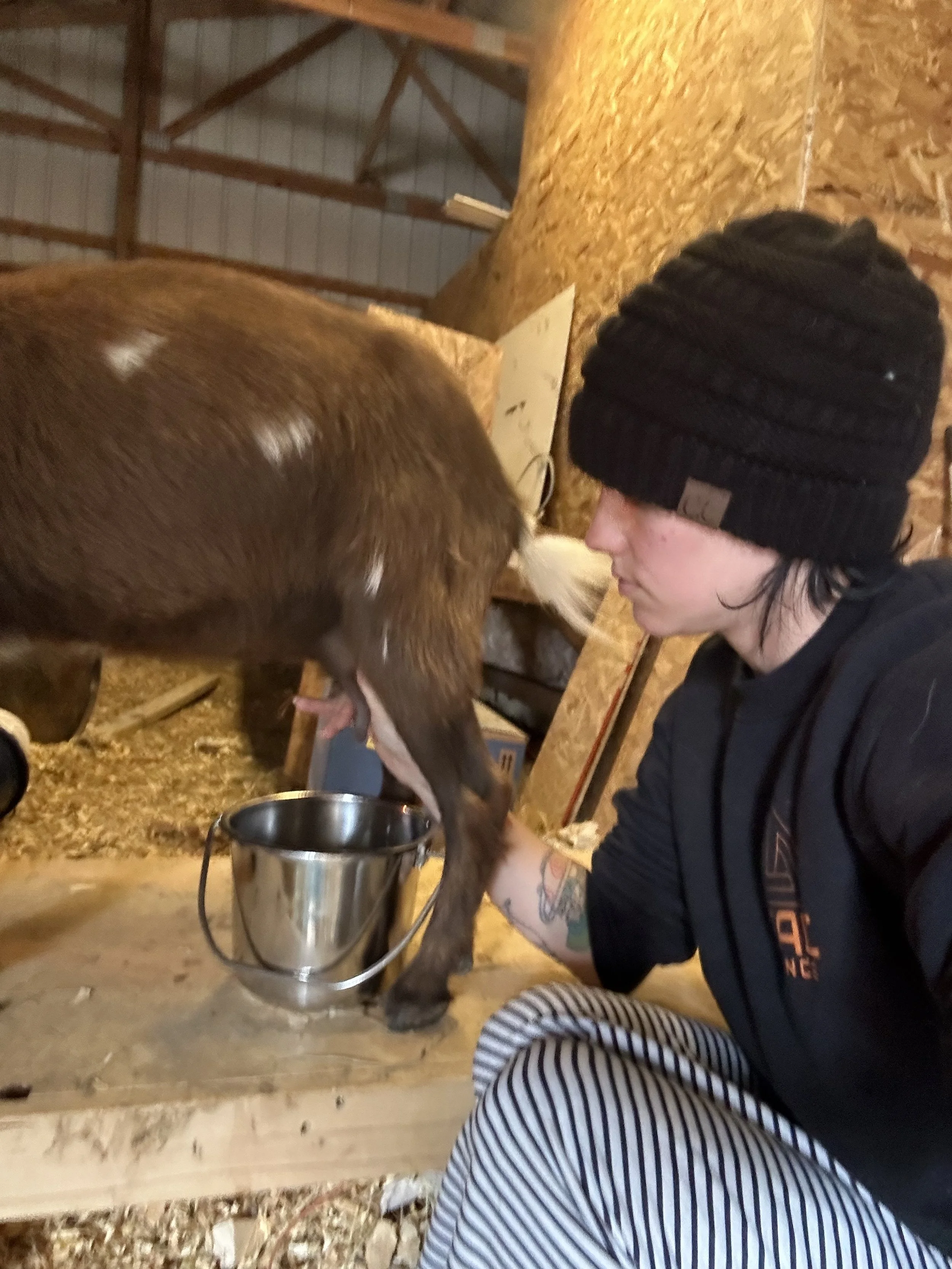 2024 Lactation