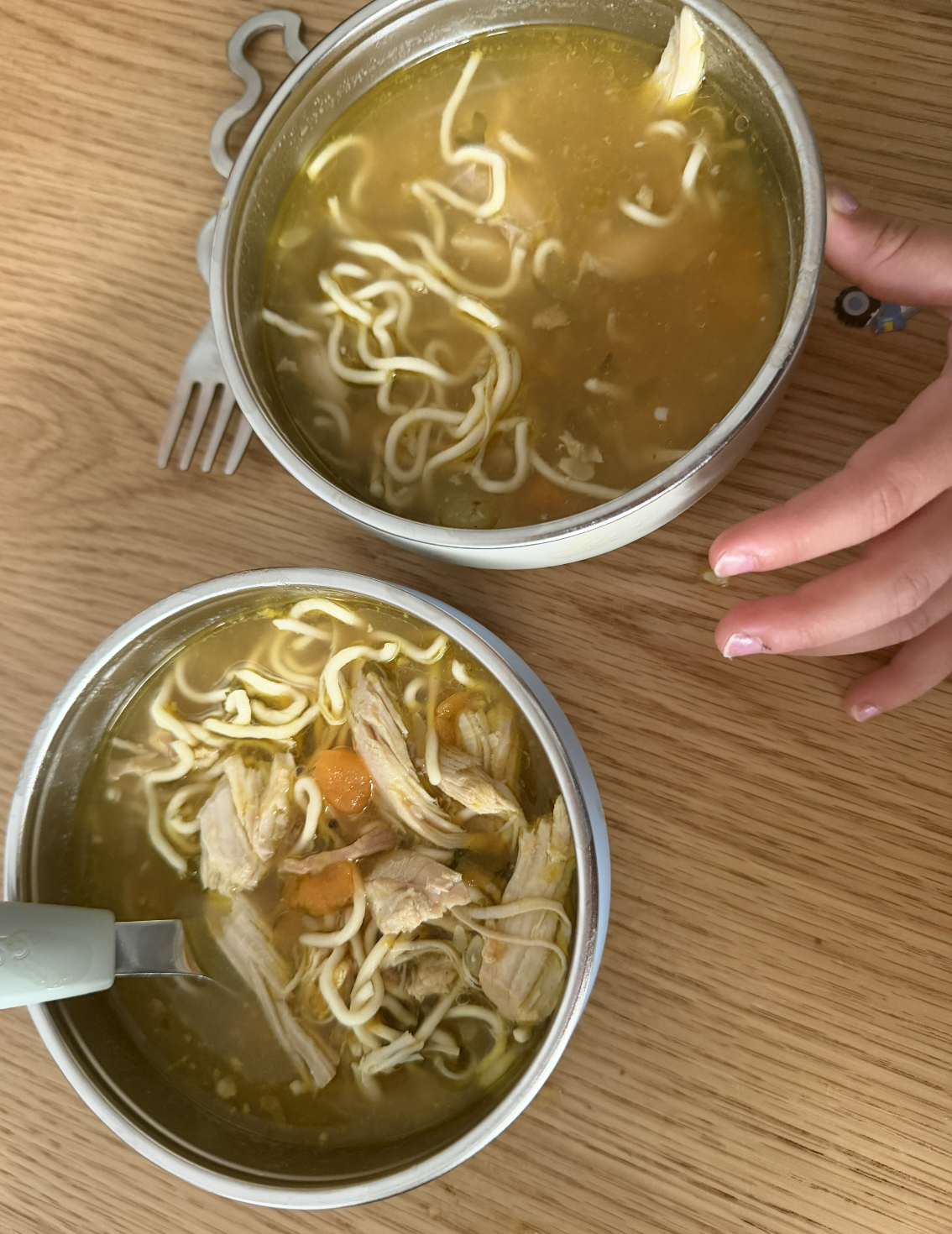 CHICKEN NOODLE SOUP