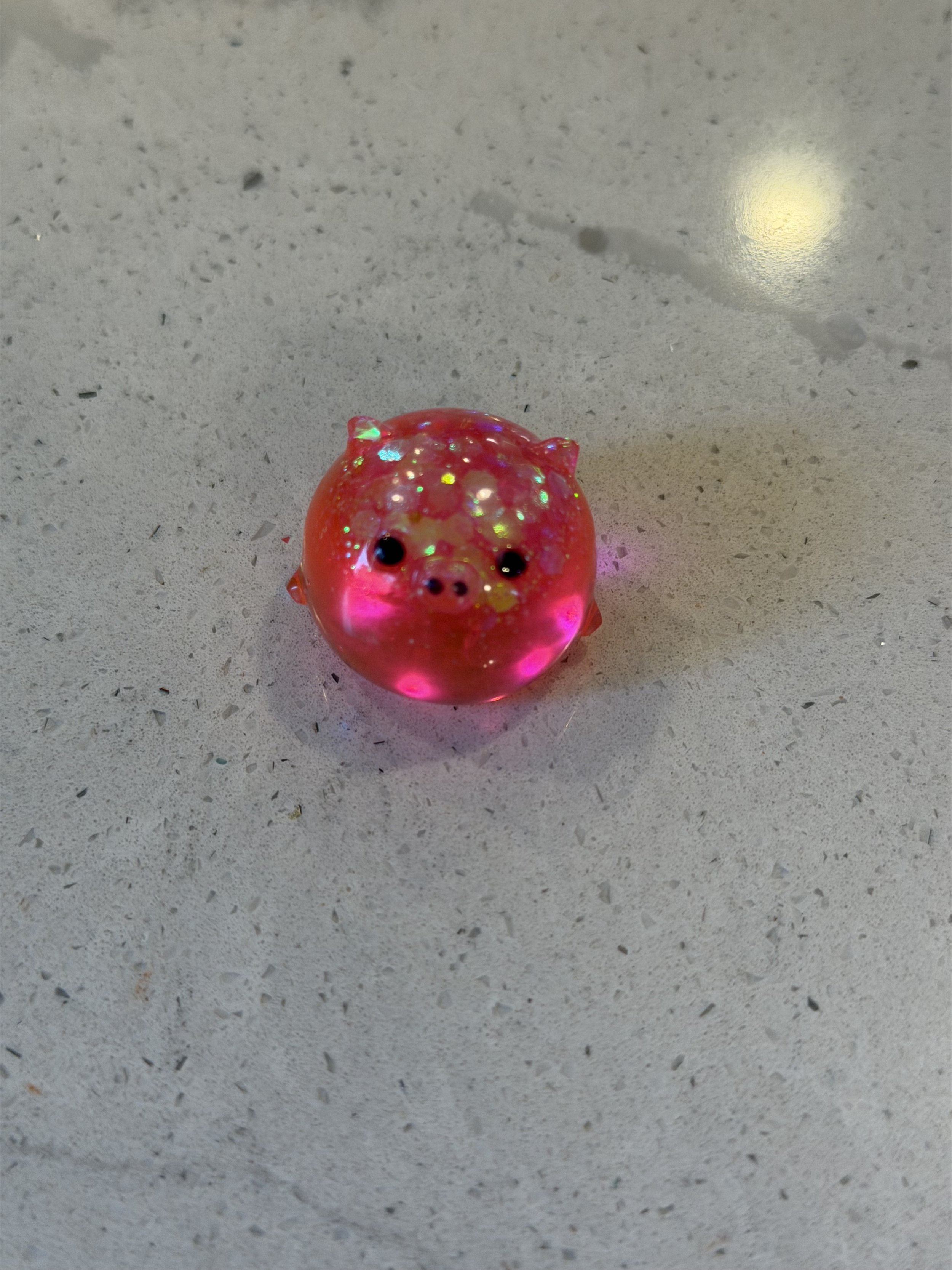 IMG_1519.jpeg
