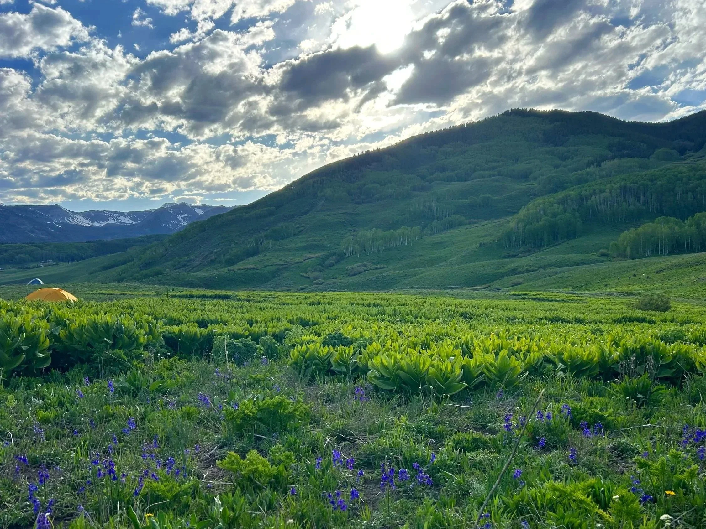 Solo Overnight Camping Trip in Crested Butte, CO