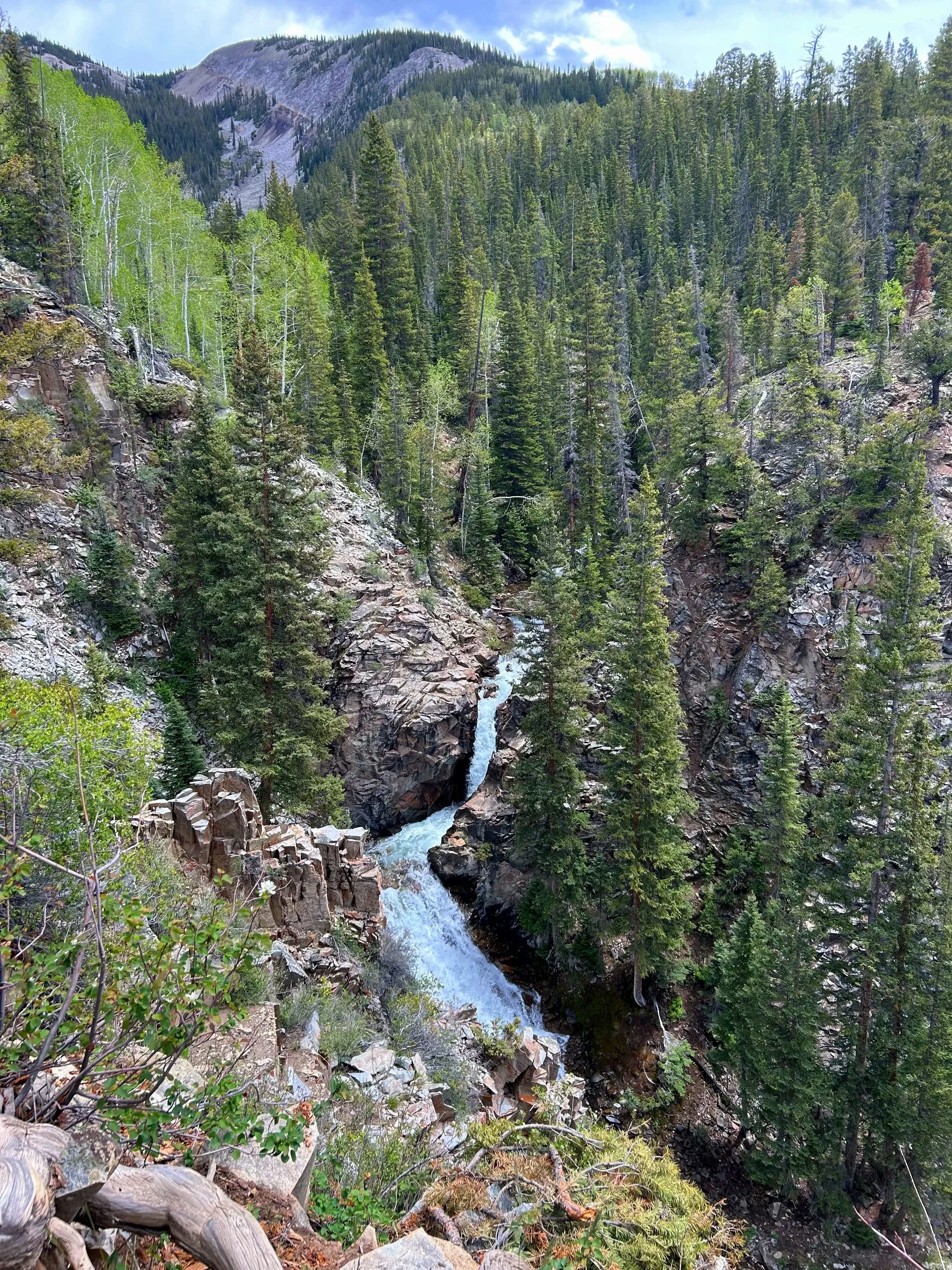 IMG_1202.jpg