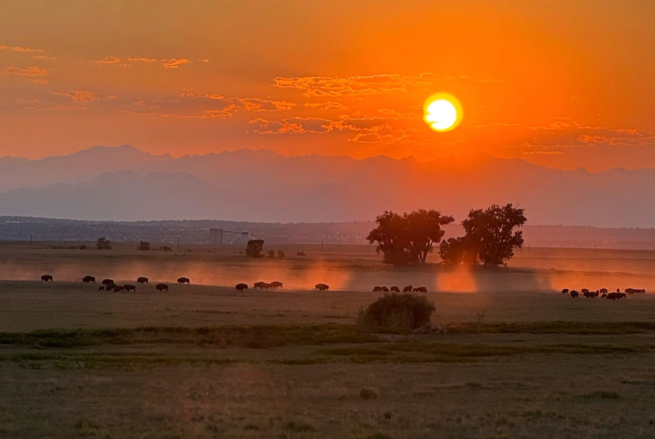 10 After Work Hikes Near Denver