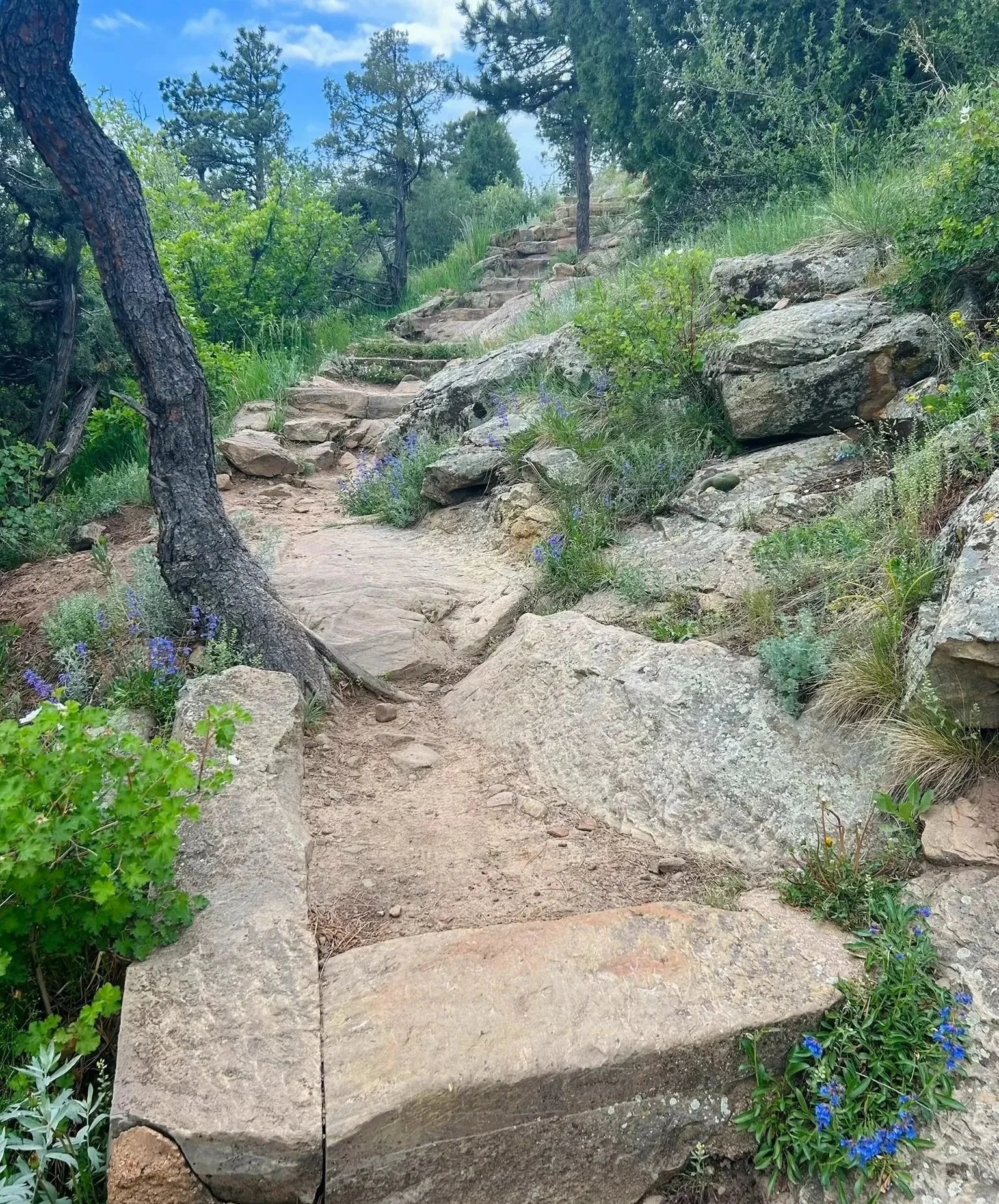 10 Family Friendly Hikes Near Denver, CO