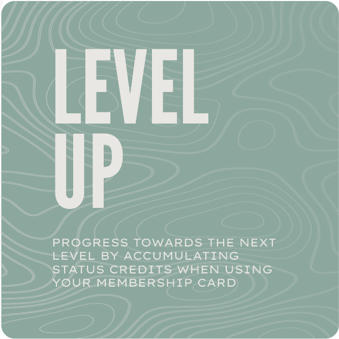 SQUARE IMAGE2[90].png