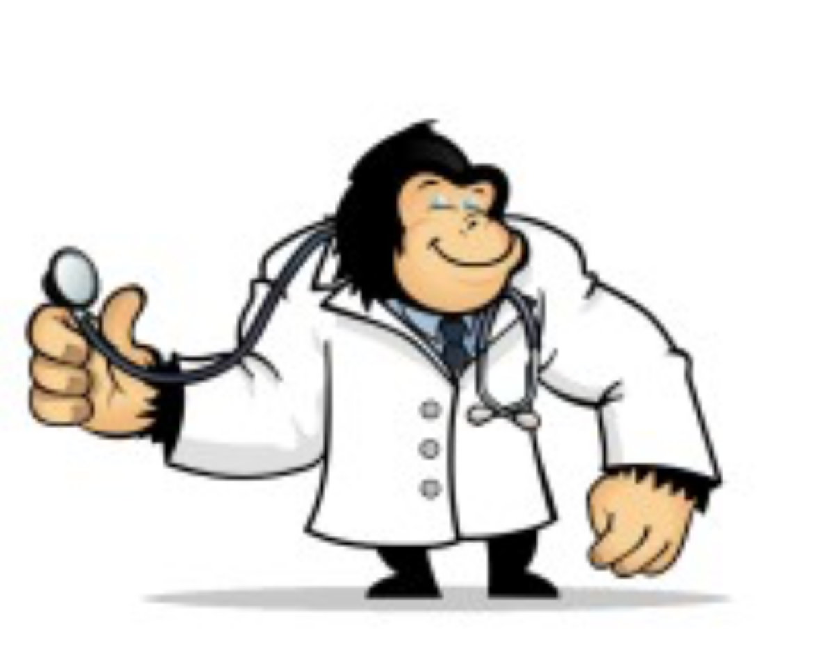 getmehealthcare insurance - Google Search.jpeg.png
