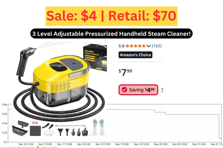 (Sale: $4 | Retail: $70) Handheld Steam Cleaner