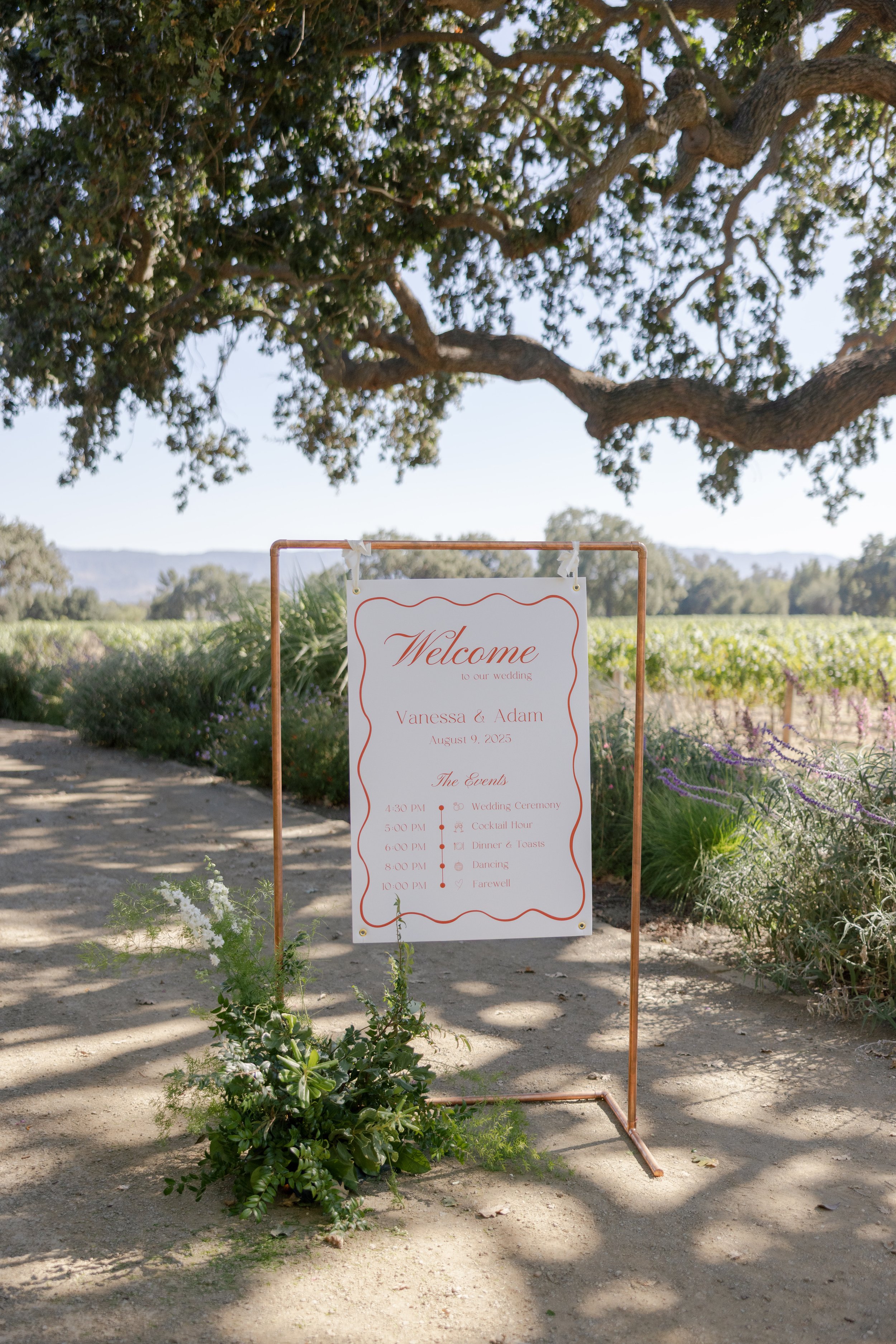 Malaya Images - 080925 Vanessa and Adam (184 of 761).jpg