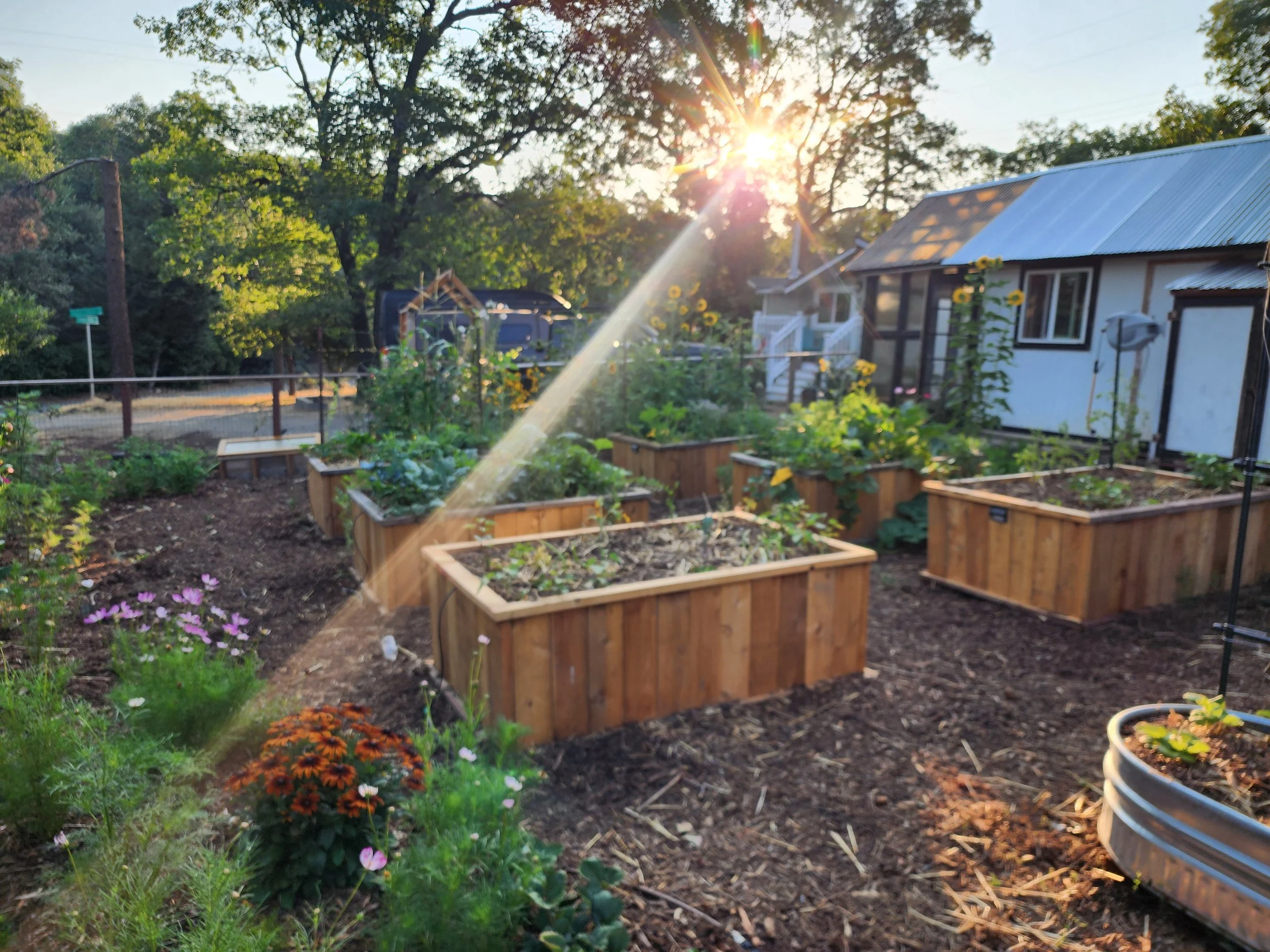 vegetablebeddesignservicesjuliancalifornia.jpg