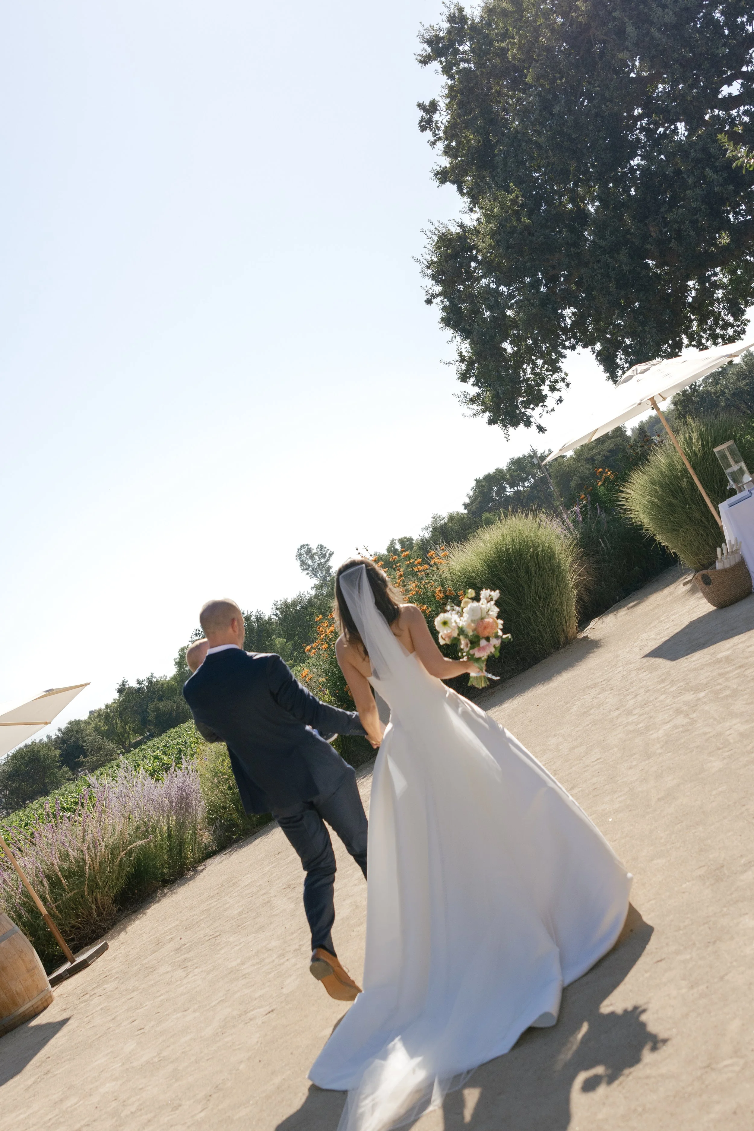 Malaya Images - 080925 Vanessa and Adam (349 of 761).jpg