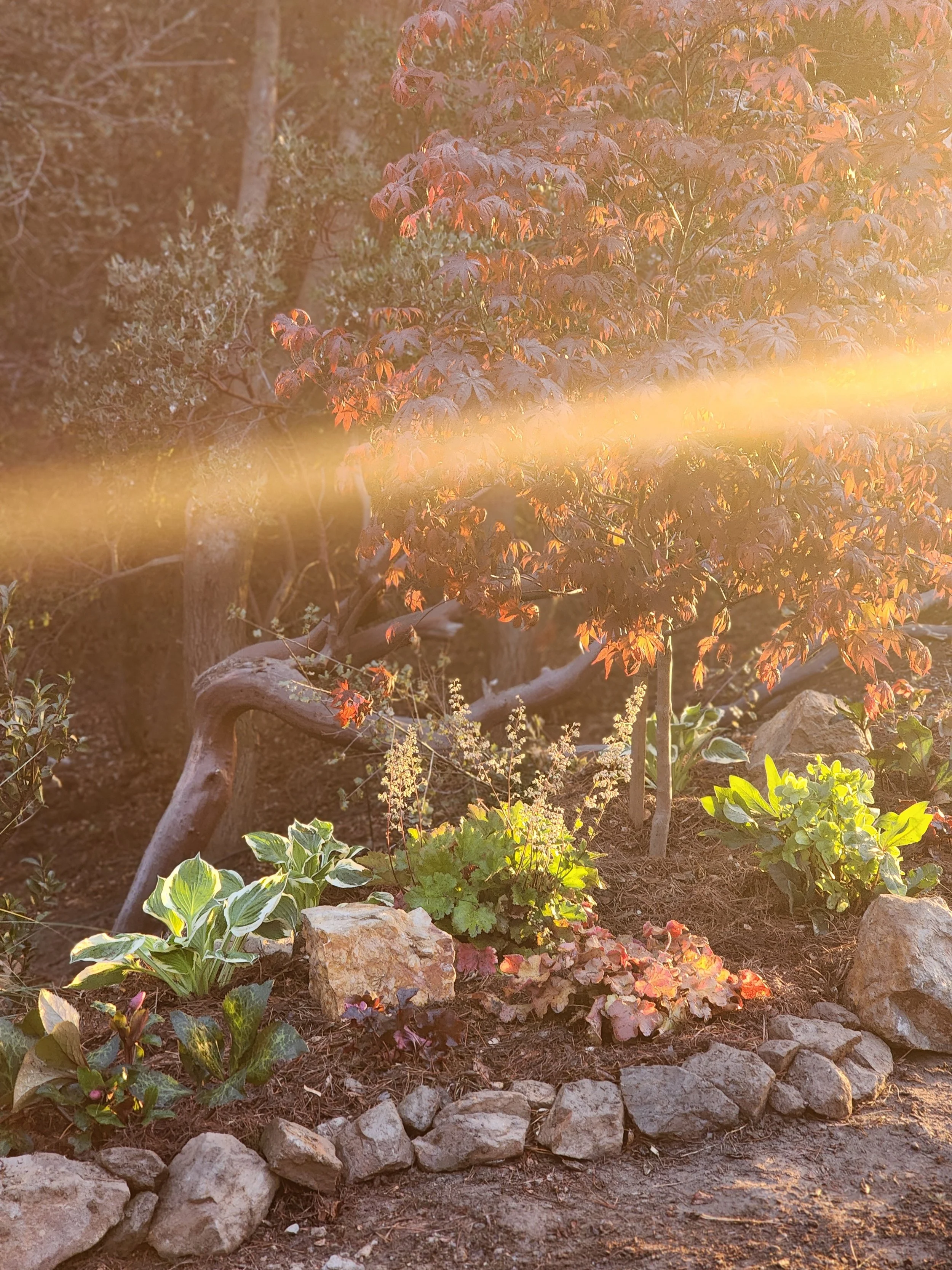 moutainlandscapedesignerjuliancaliforniapathwaydesignstoneflowerborder.jpg