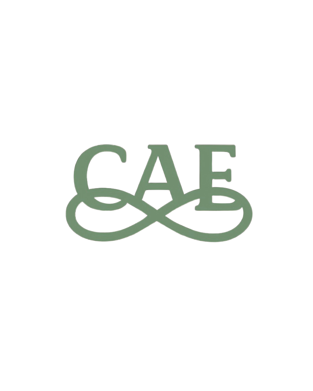 transparent cae logo-2.png