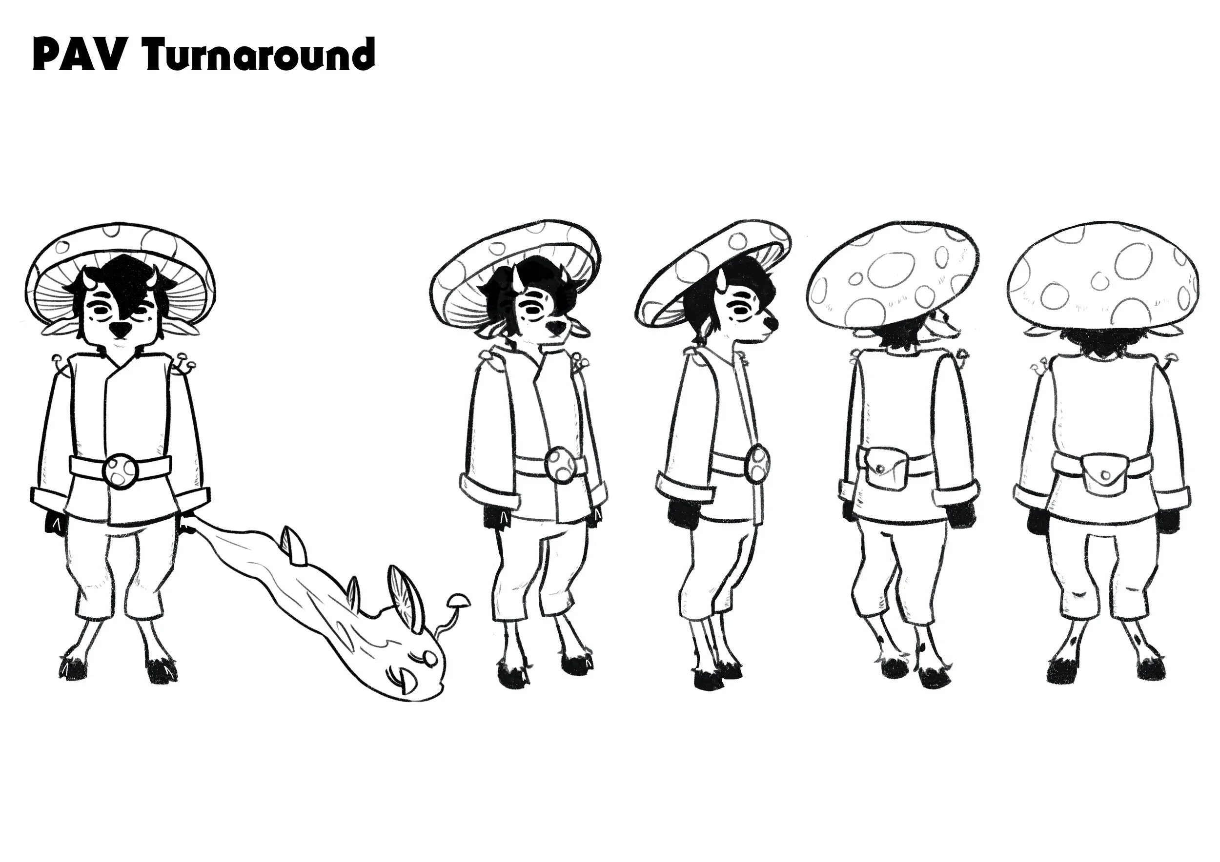 pav turnaround.jpg