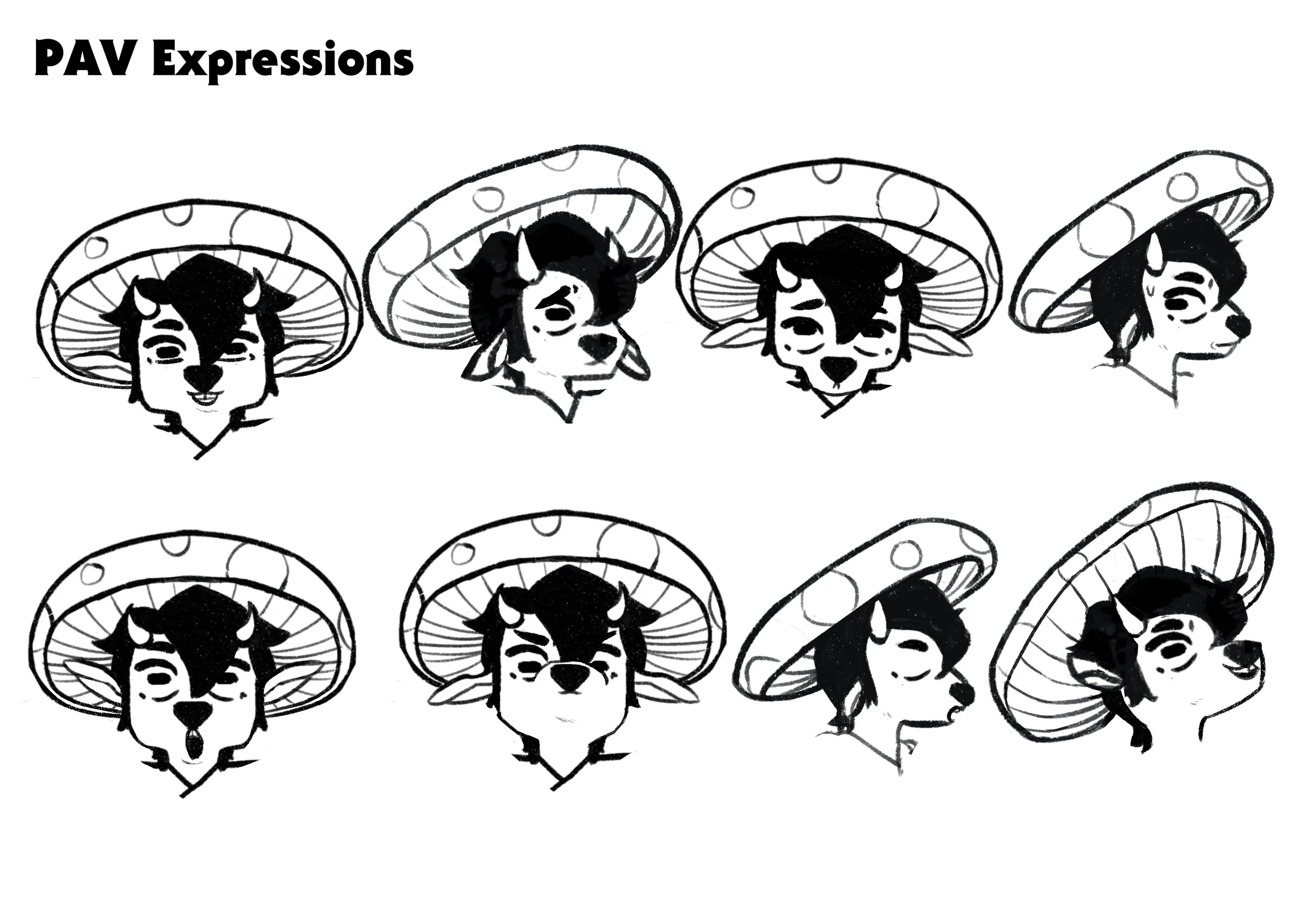 pav expressions.jpg