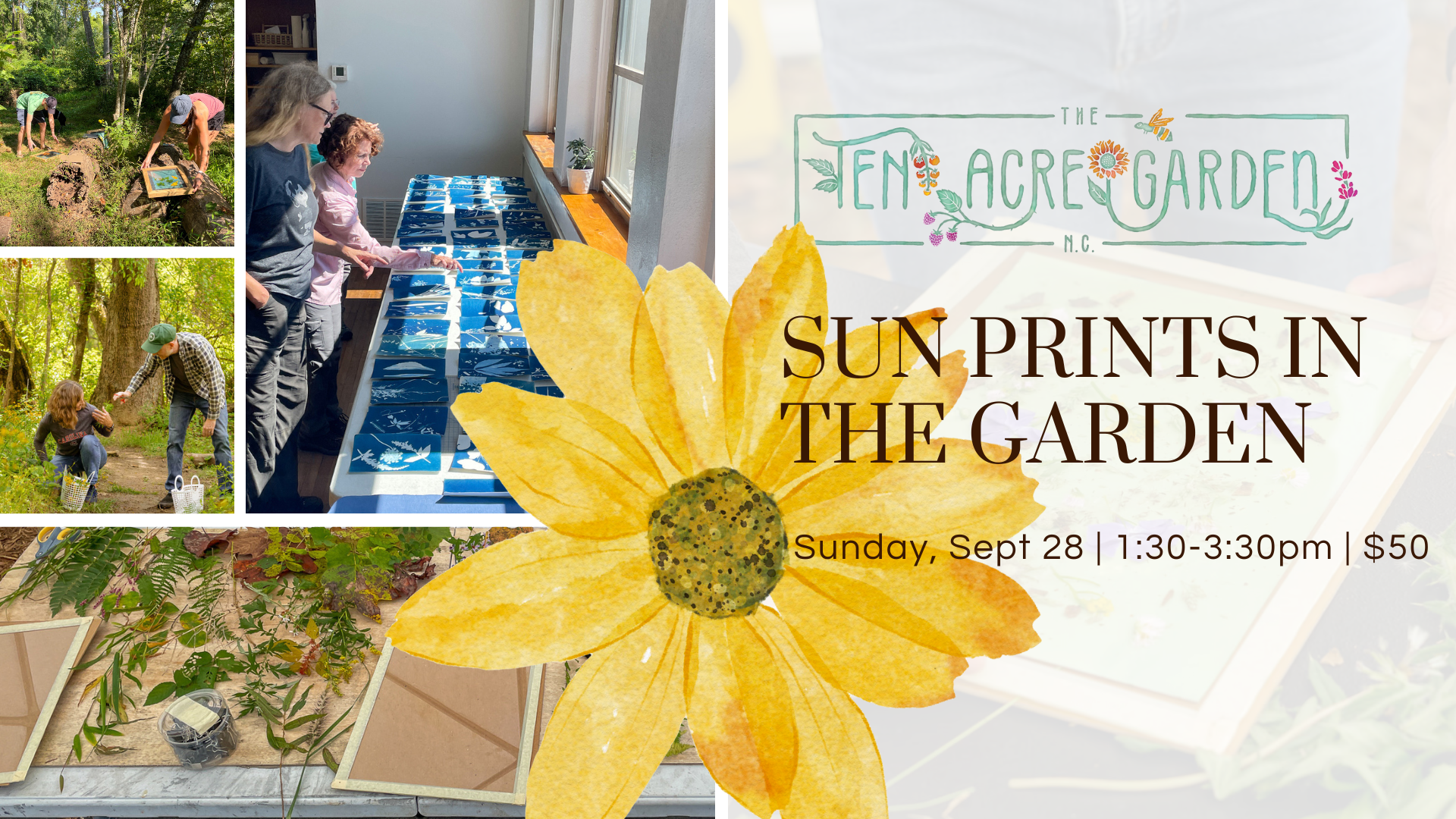 Sun Prints in the Garden