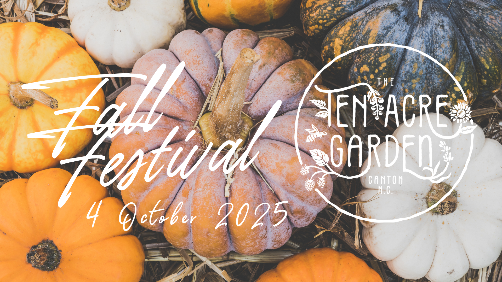 Fall Festival
