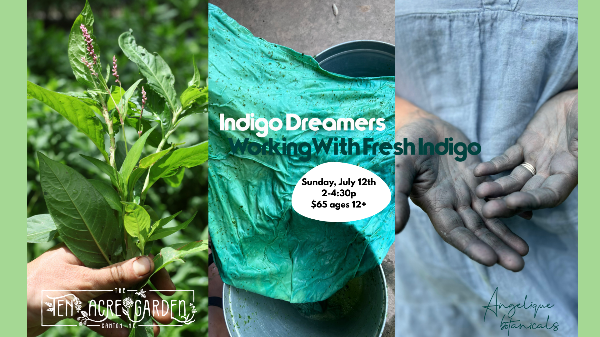 Indigo Dreamers: Working with Fresh Indigo