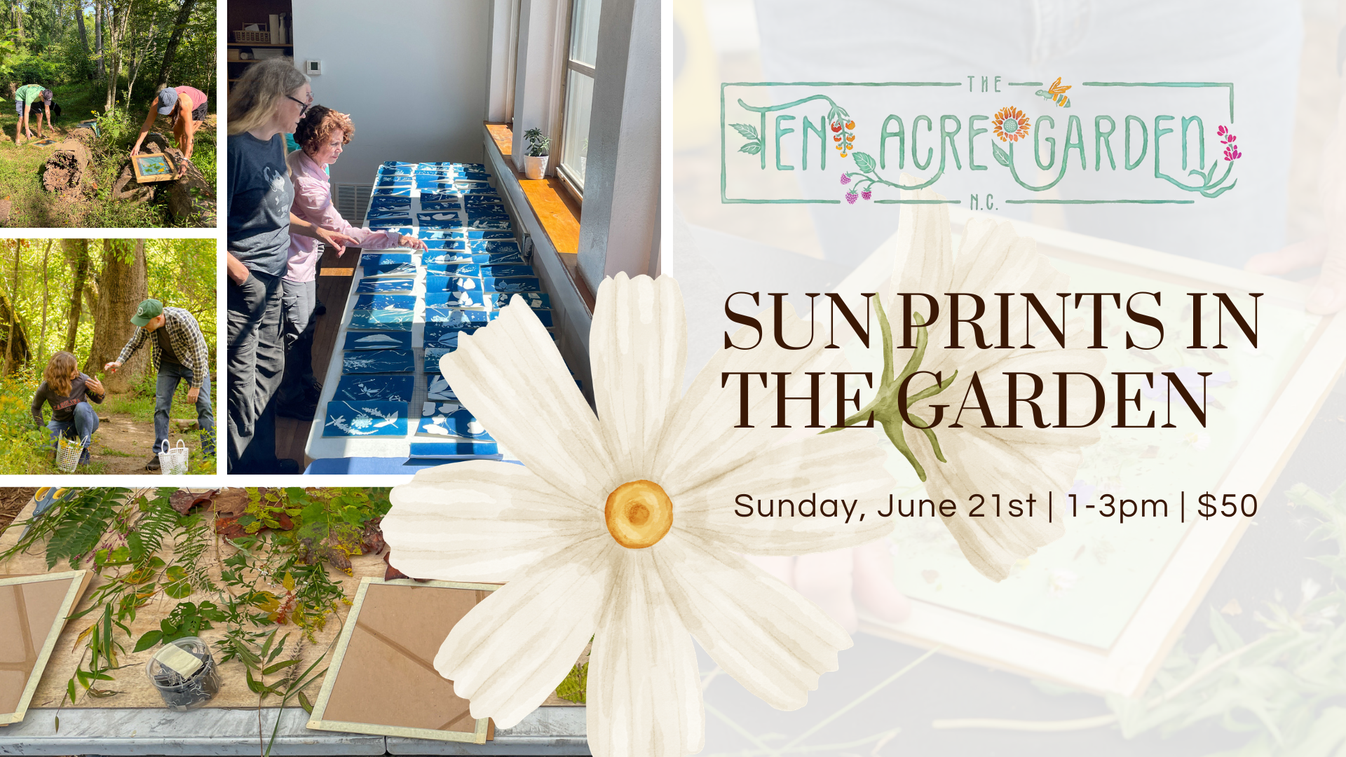 Sun Prints in the Garden