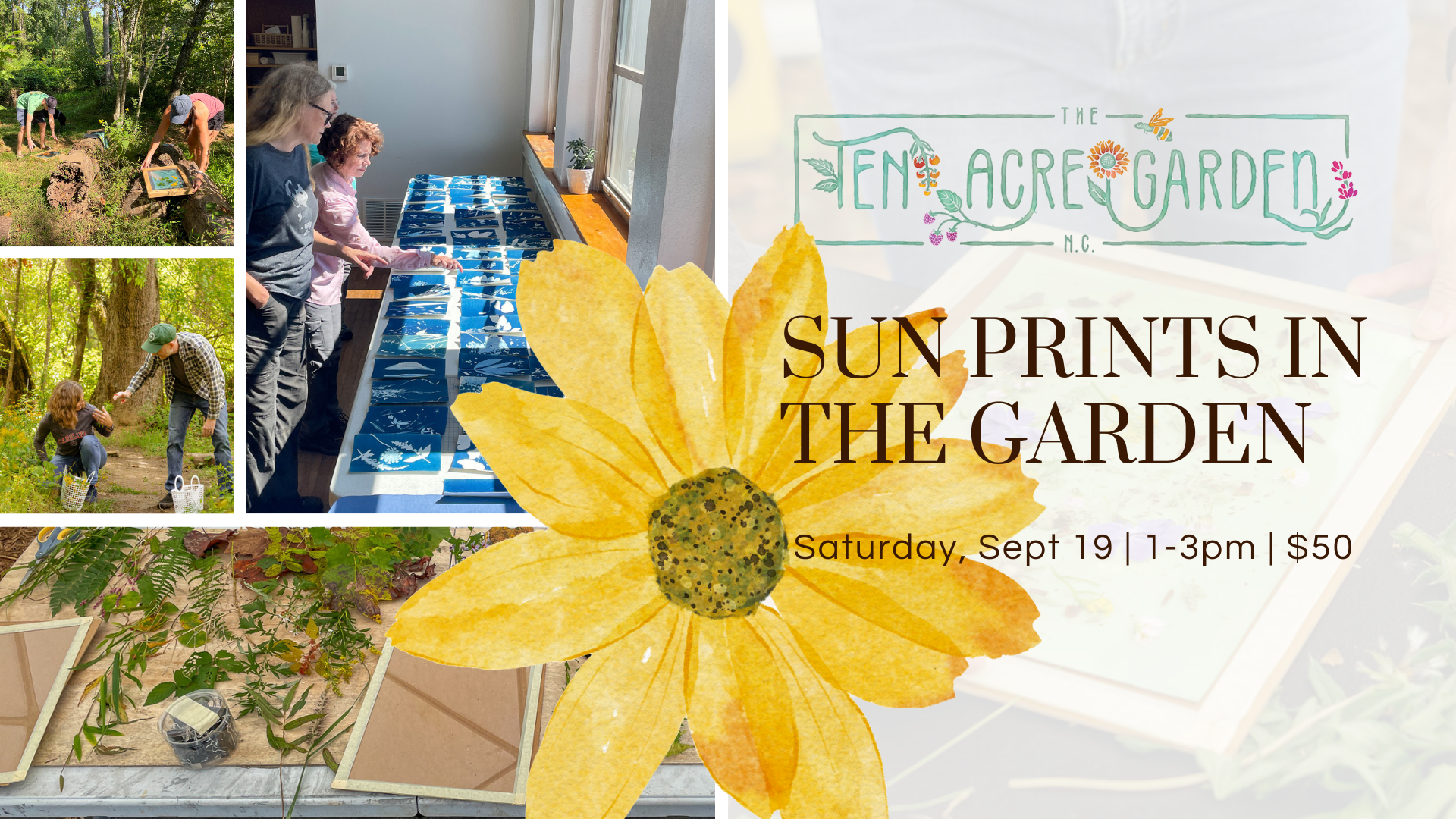 Sun Prints in the Garden