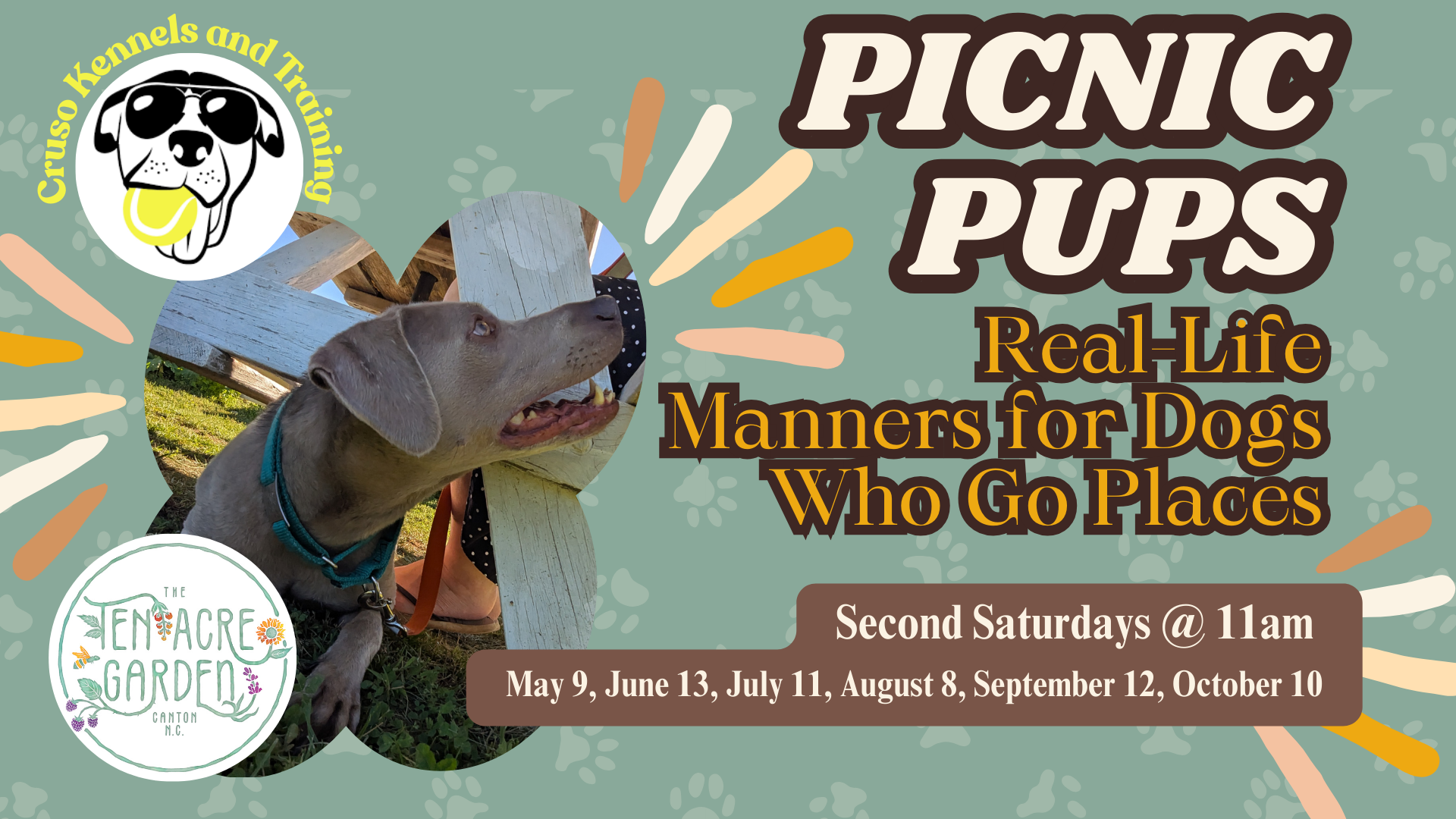 Picnic Pups: Real-Life Manners for Dogs Who Go Places