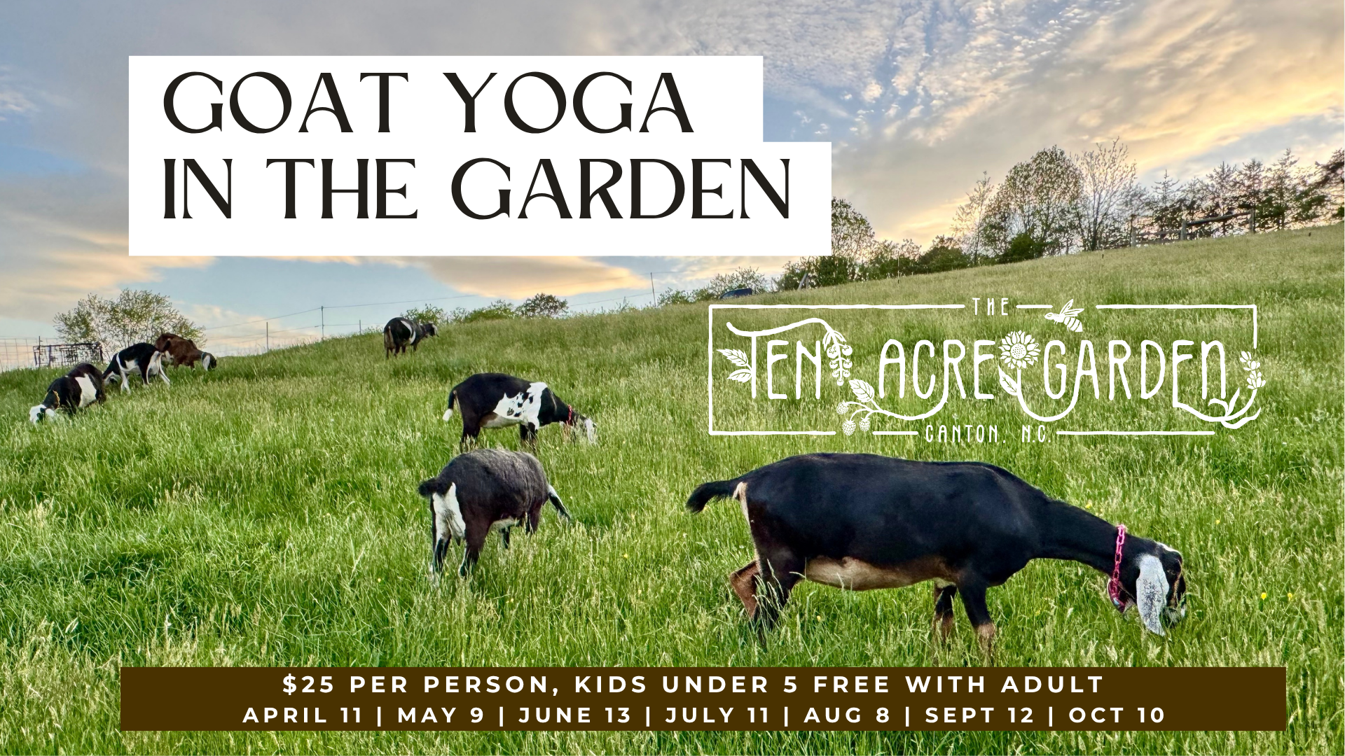 Goat Yoga in the Garden