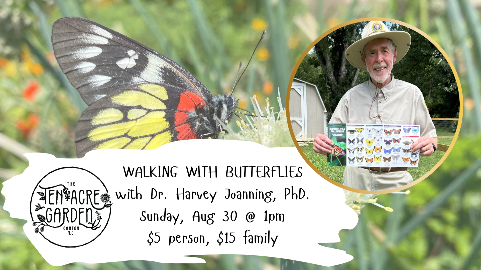 Walking with Butterflies