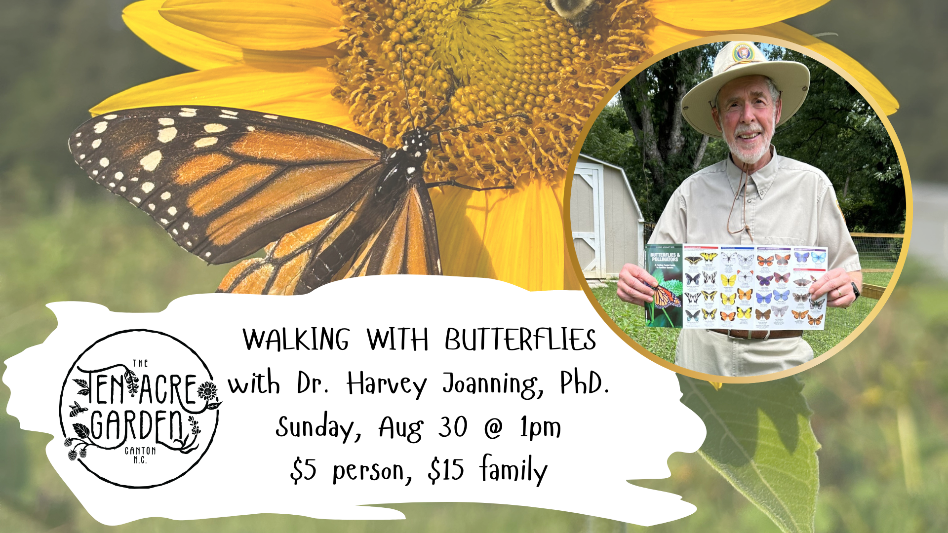 Walking with Butterflies