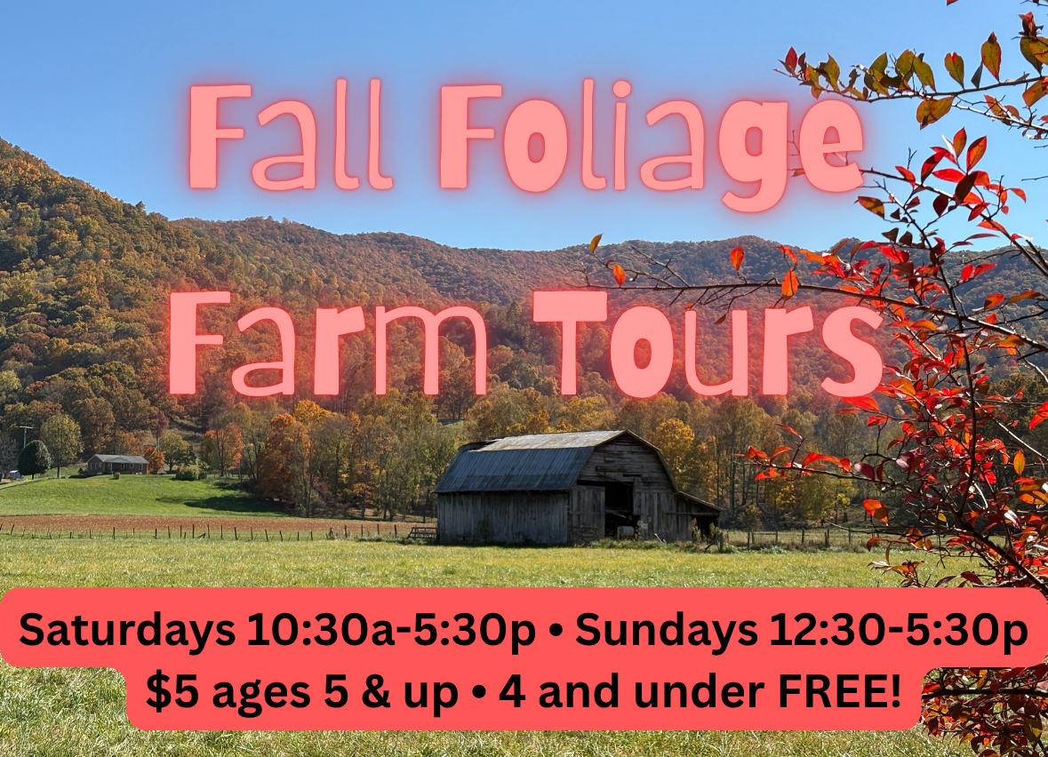 Fall Foliage Farm Tours