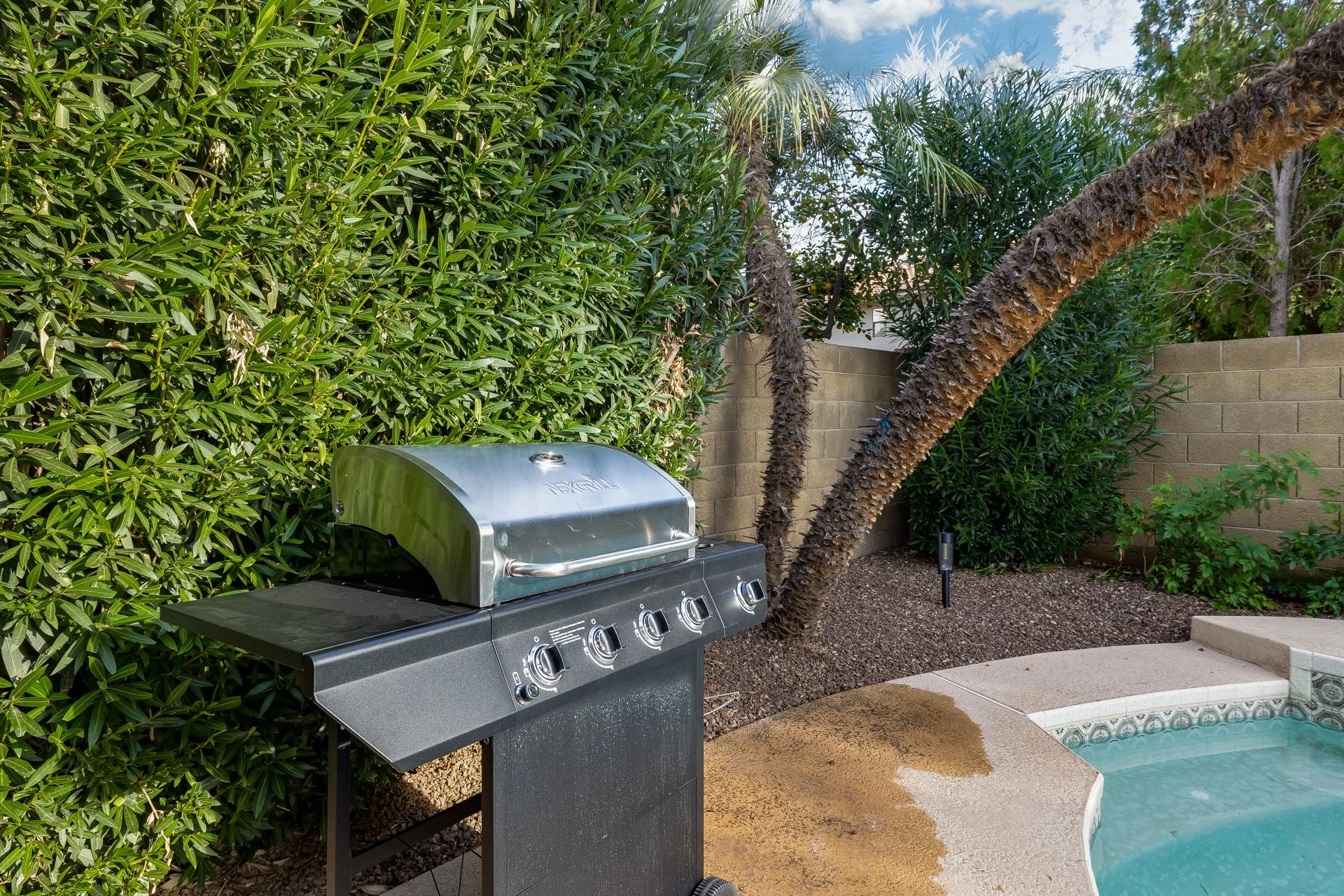 A backyard scene with a stainless steel barbecue grill, tall green bushes, a palm tree, a concrete wall, and part of a swimming pool with a decorative tile border.