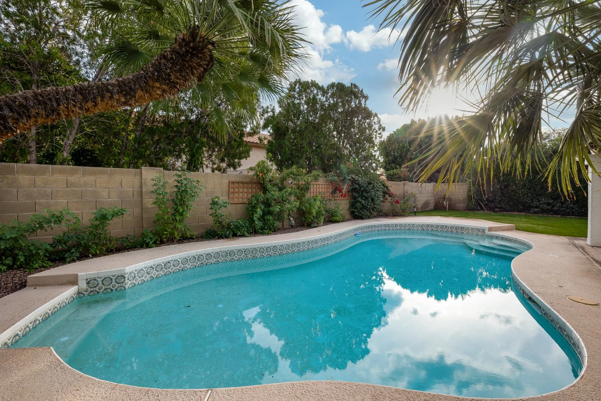 A backyard with a swimming pool surrounded by a concrete deck and a beige brick wall. There are various green plants and trees, including palm trees, with the sun shining through the leaves. The sky is partly cloudy.