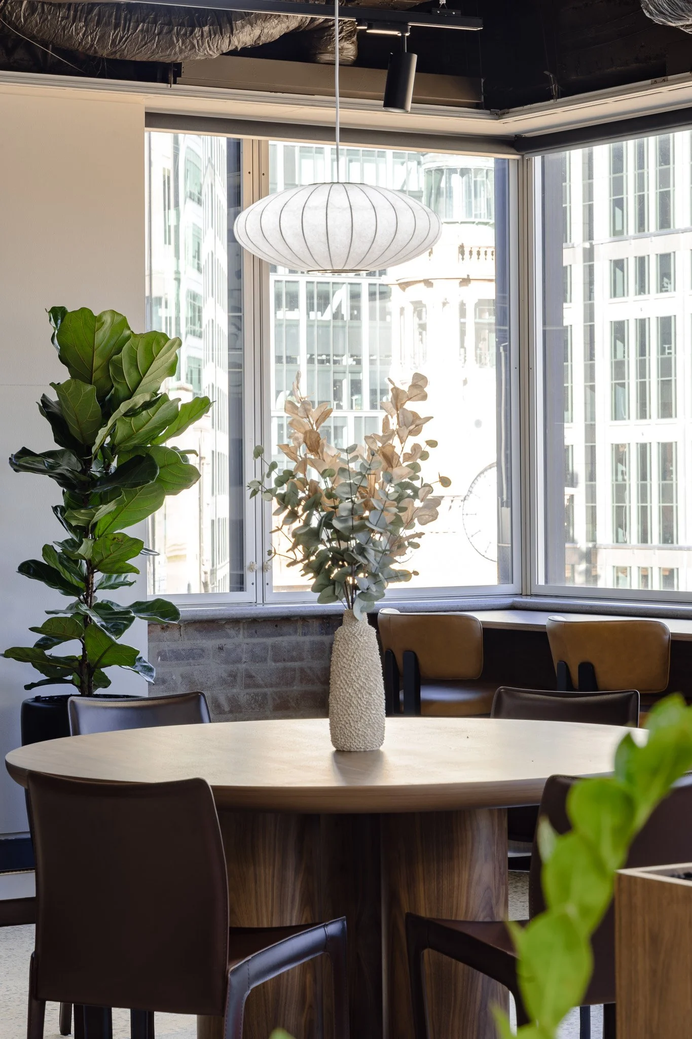 60 Carrington St, Lvl13 Spec Suites