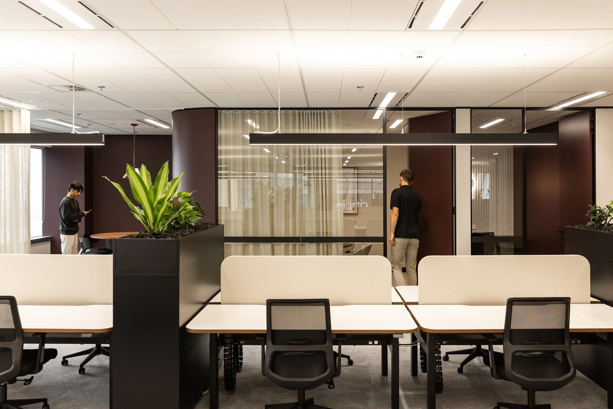 Stunning Highly Designed Office Suites image