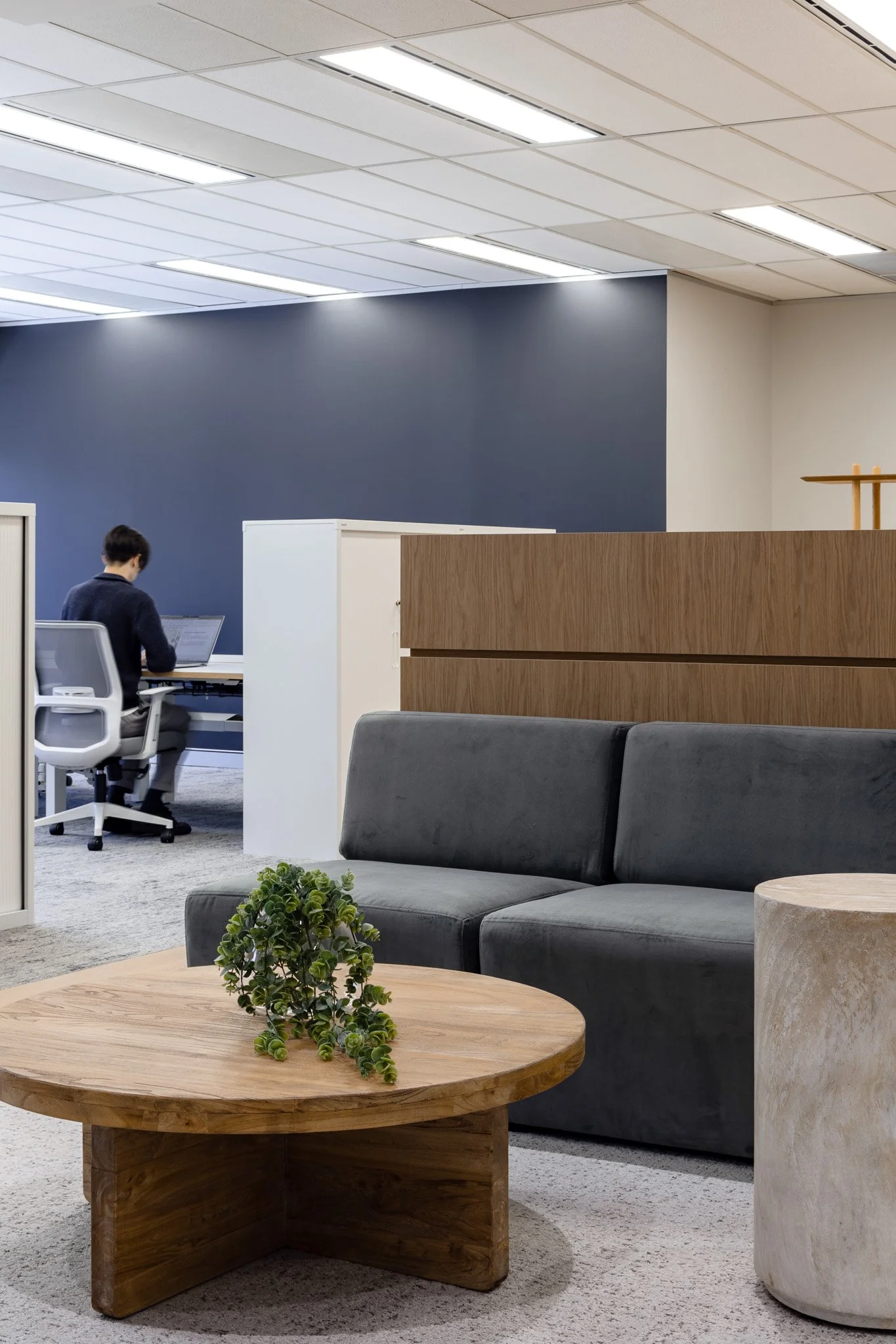 44 Market St, Sydney CBD   Speculative Suites  