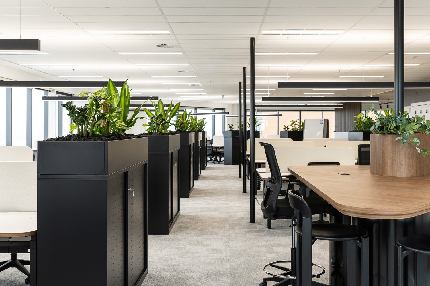 Photo inspiration: Highly Designed Office Suites Reference: Executive Suites At 141 Walker St Sydney