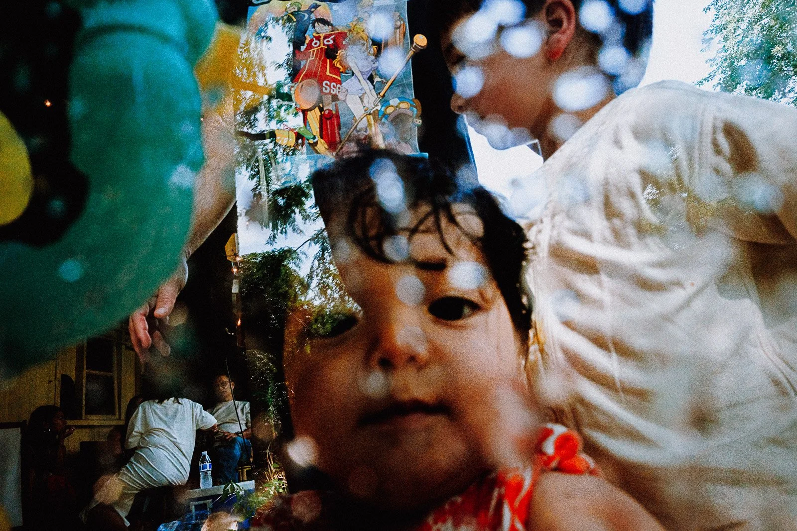 Niko in Bucks County, 2024