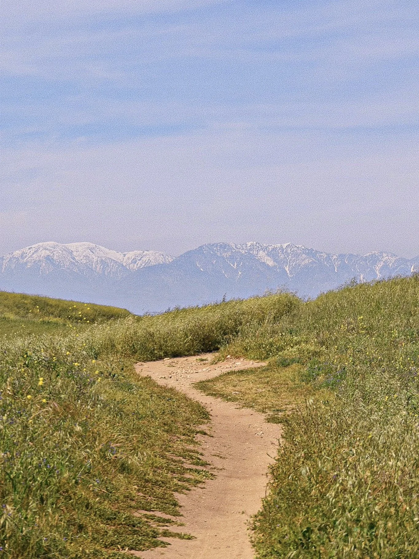 848CD974-8144-4741-8AA8-359C23365042-2 2.jpg