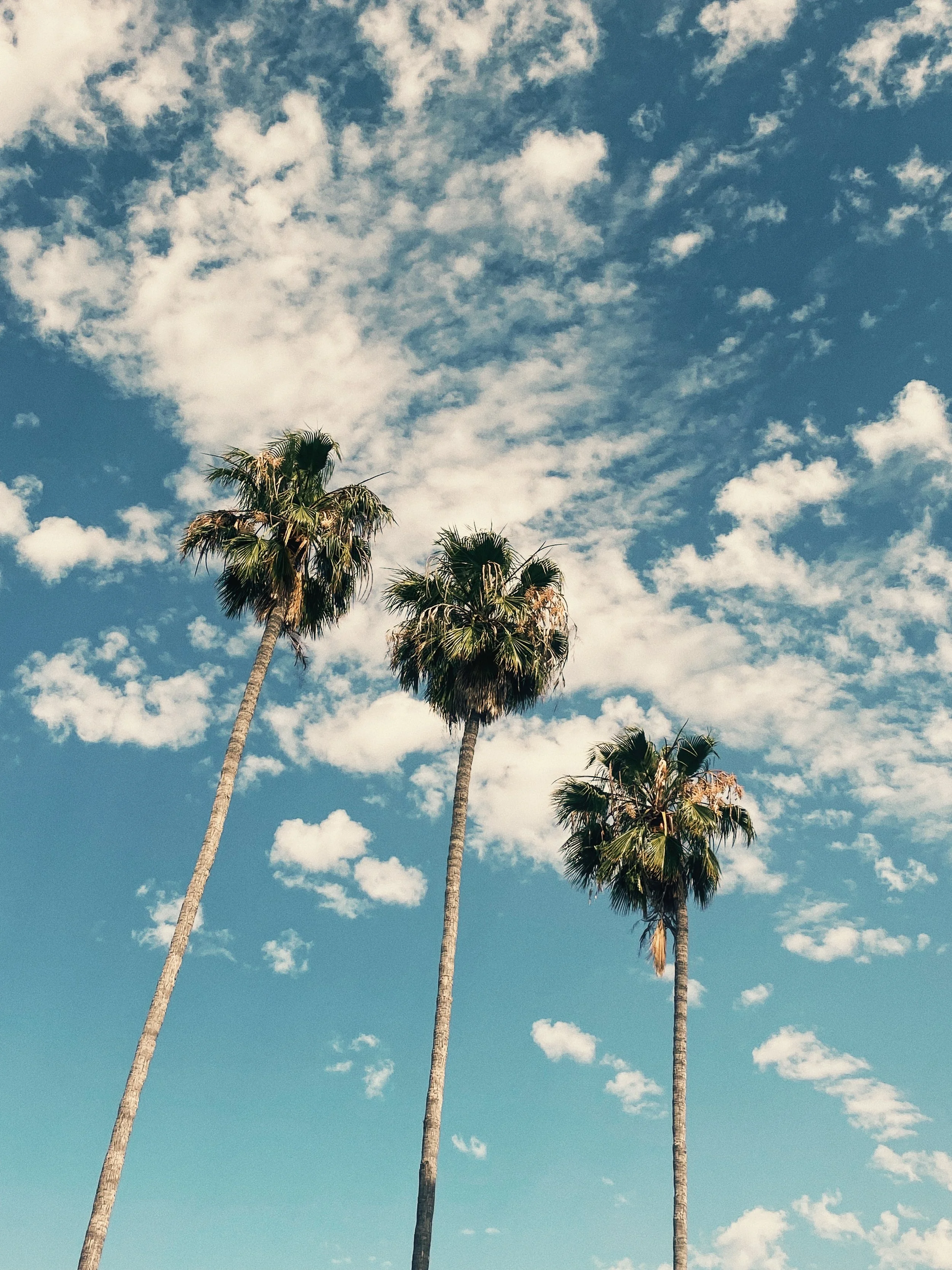 543C3F12-EBD4-4D5D-AD8D-2B7744FB0432 2.JPG