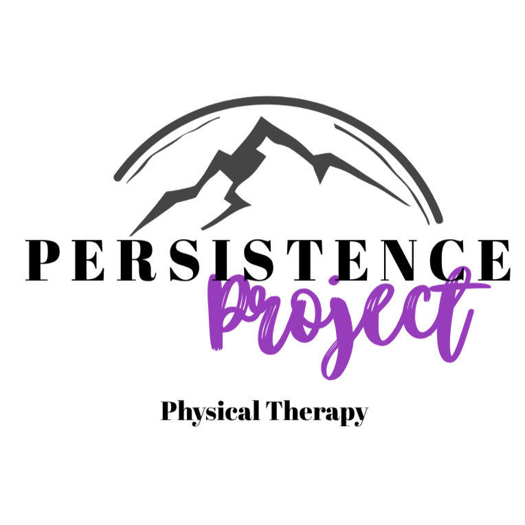 The Persistence Project
