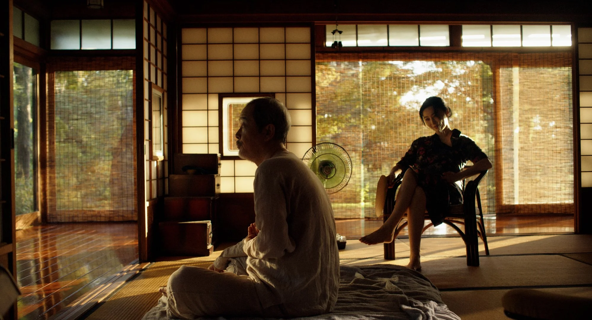Diary of a Mad Old Man: Distorted Desire