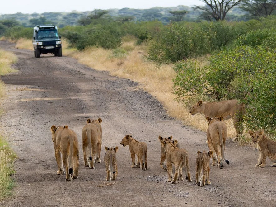 Who’s calling the shots?