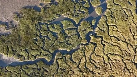 Systemic Change: Our Times Require New Ways, Not Working Harder