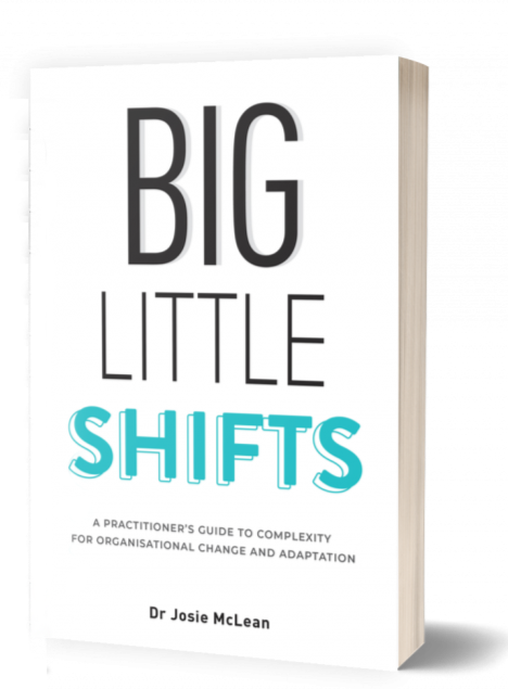 3D-Big-Little-Shifts-Paperback.png