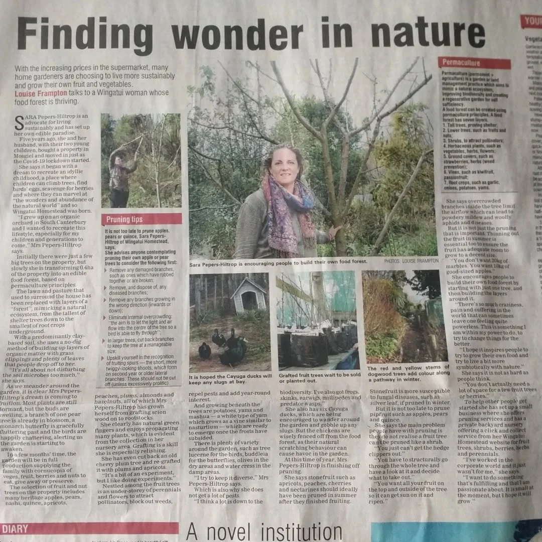 Never been one to blast my own horn but I am feeling proud of what I've achieved and humbled to have been approached about what I'm doing enough to have an article written about it in the odt. I was contacted through the grapevine by Louise (who wrot
