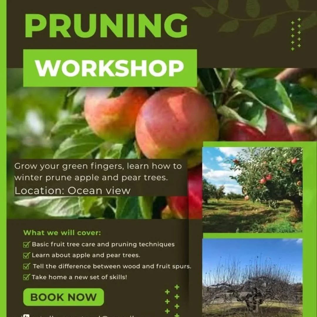 Join us in ocean view for a pruning workshop!
https://facebook.com/events/s/pruning-workshop/738605545704537/
#wingatuihomestead #fruittrees #pruningtrees #workshops