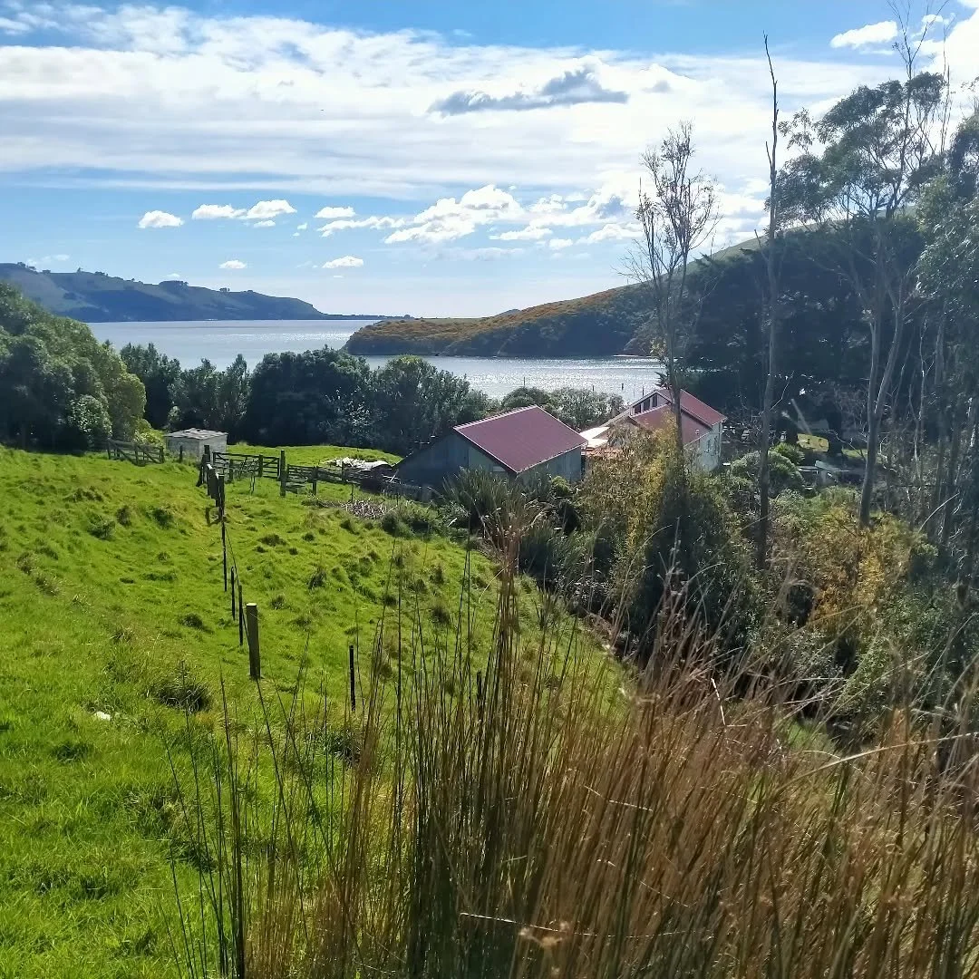 Just spent the weekend on quarantine island with some fabulous women... A good break from life. Thanks Harriet Moir! 
If you haven't been... The WEE treat is well worth it. 
#wingatuihomestead #weekendaway #quarantineisland #weetreat