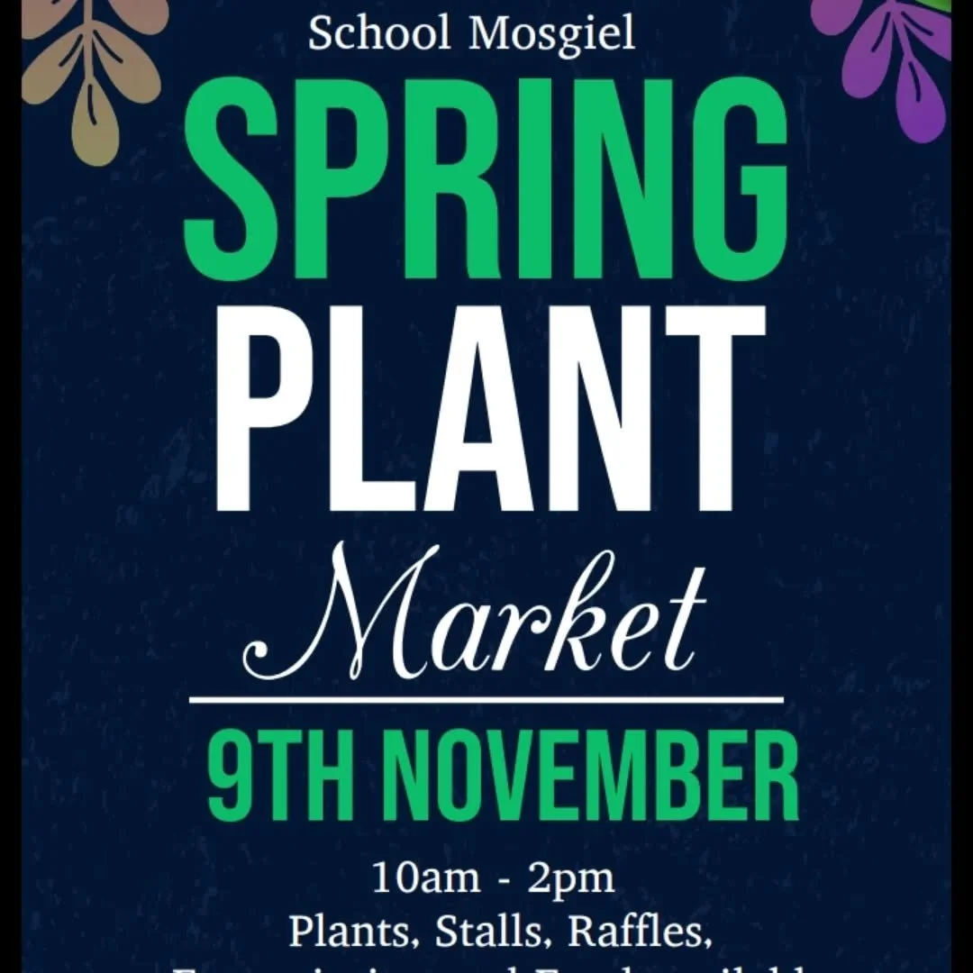 Come and check us out at the silverstream school spring plant sale! Vege seedlings, perennials, herbs, fruit trees and more! 
#wingatuihomestead #foodforestgarden #plantsale #silverstreamschool