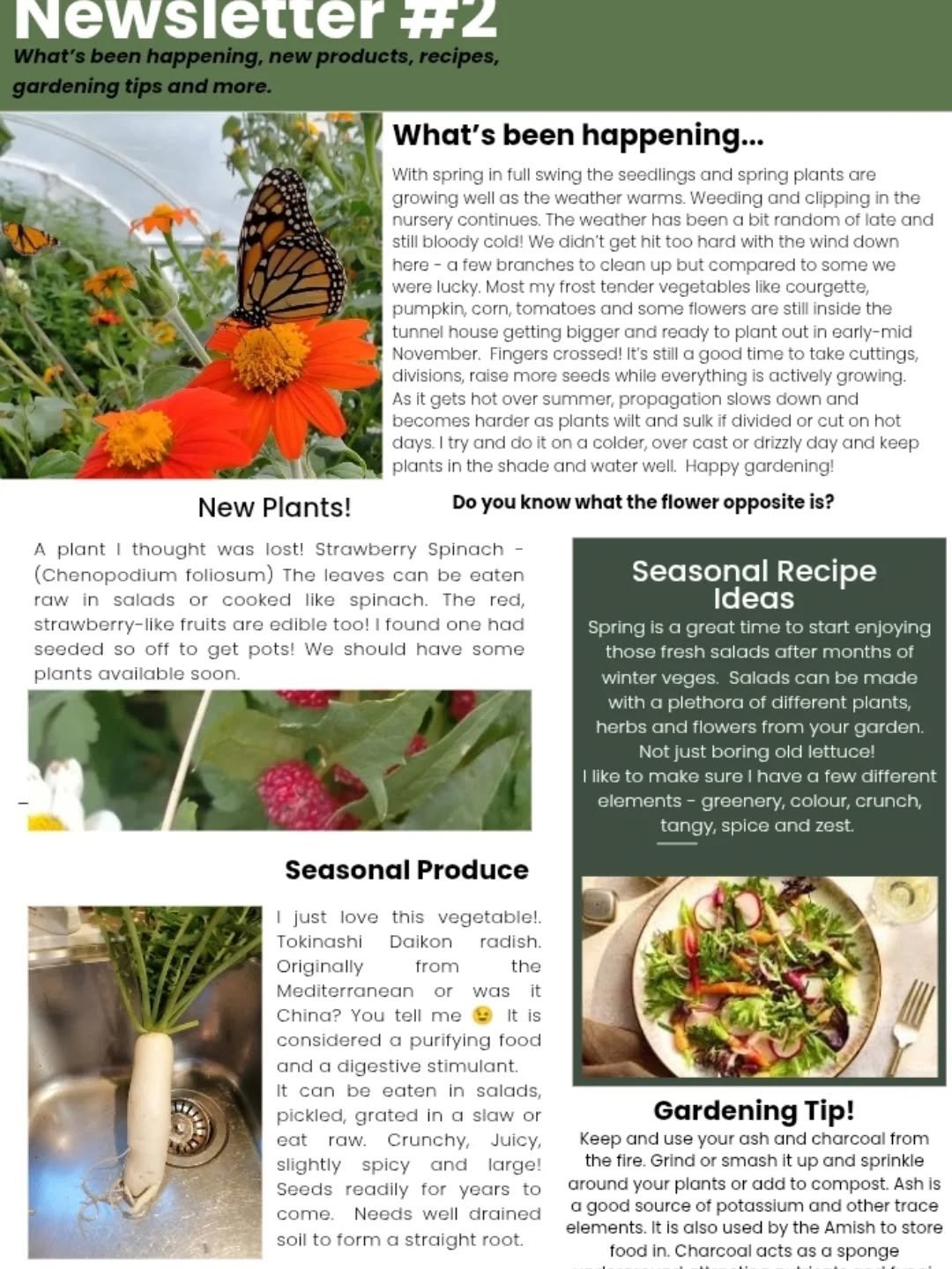 Check out our latest newsletter... What's been happening, recipe ideas, gardening tips and more! 
#wingatuihomestead #foodforestgarden #foodforbees #gardeningtips #butteflyflowers🦋💟 #seasonalproduce #marketseason #herbalteas
