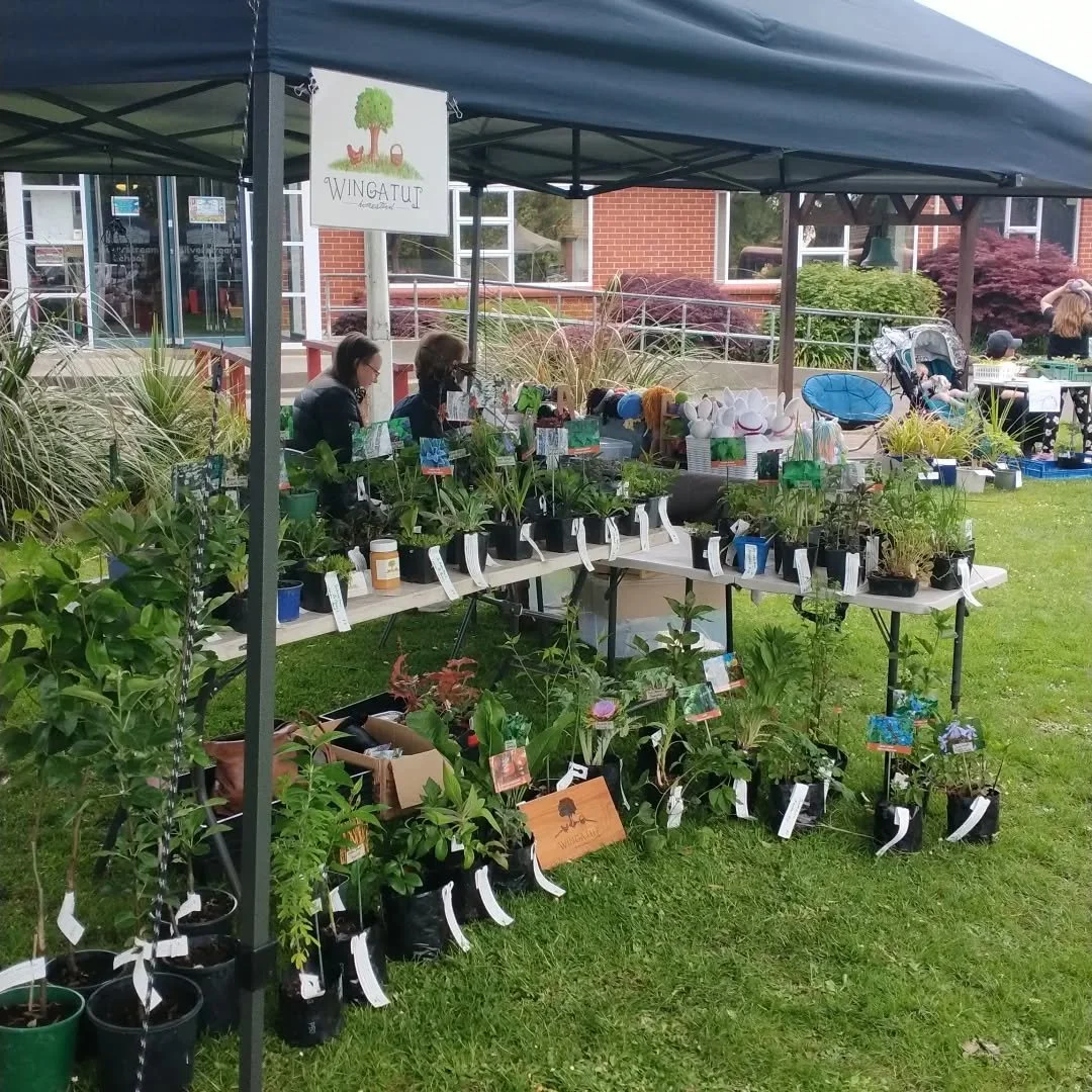 Come down and check us out at the silverstream school market. On now until 2pm.
#wingatuihomestead #foodforestgarden #perennialvegetables #herbs #ediblegardening #marketseason