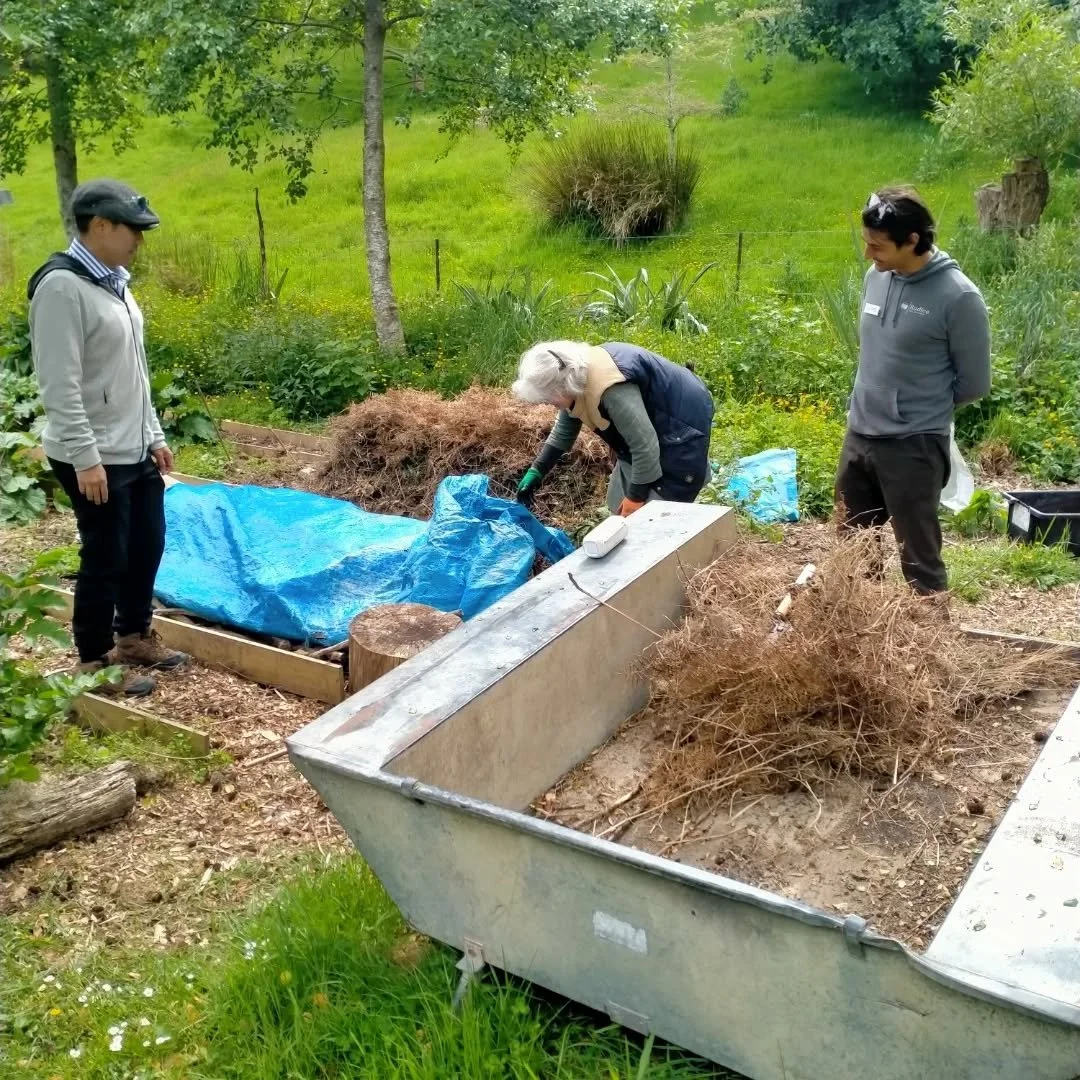 Great opportunity today to be part of this integrative workshop about soil and human health in portobello. Hosted in Heraweka street at Augustine's cafe. Met some fabulous people and ate some lovely healthy food. Awesome work by Dr Ivan Lin tying it 
