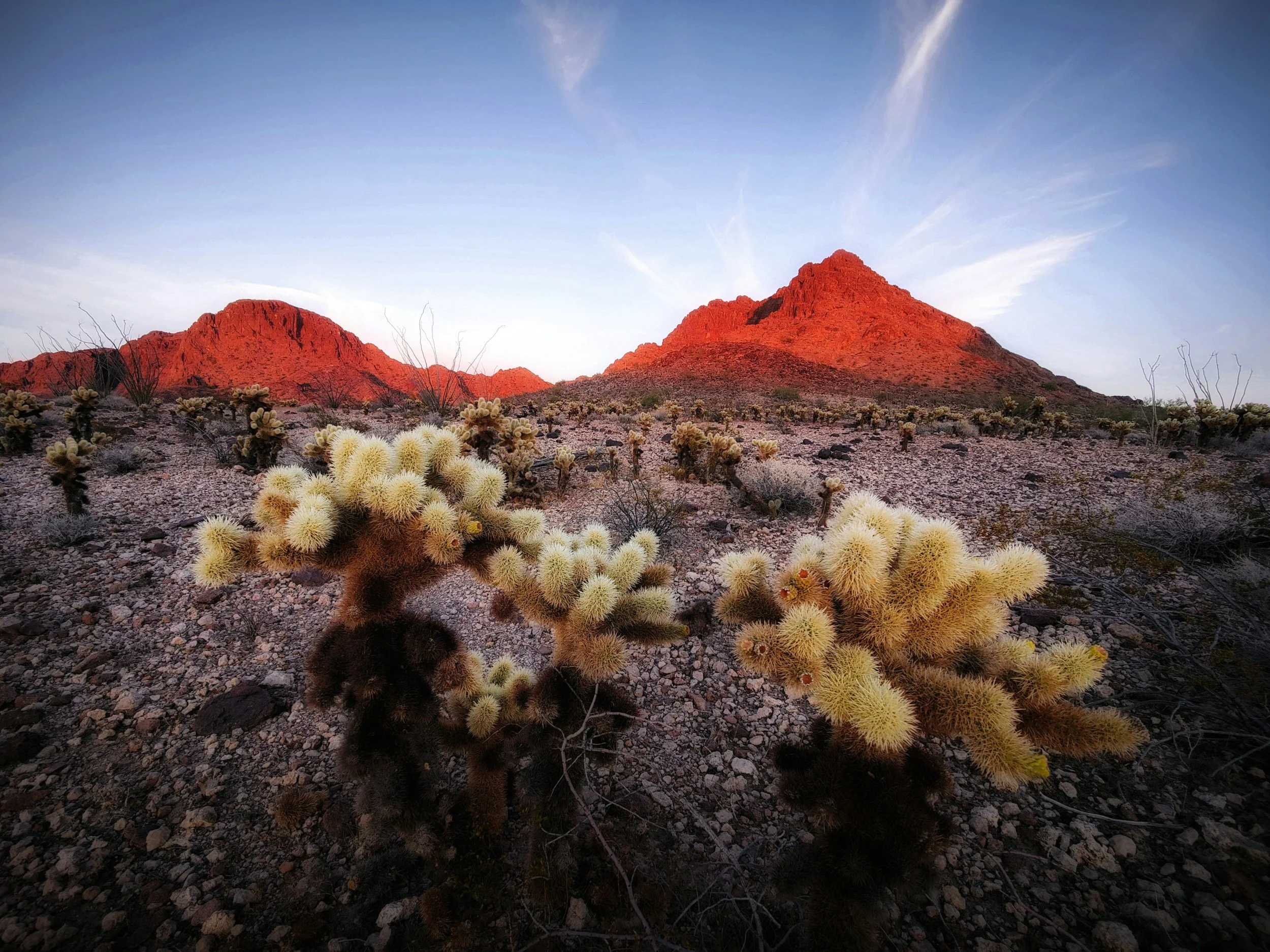 landscape image of red rock formation with snowy mountains in the background